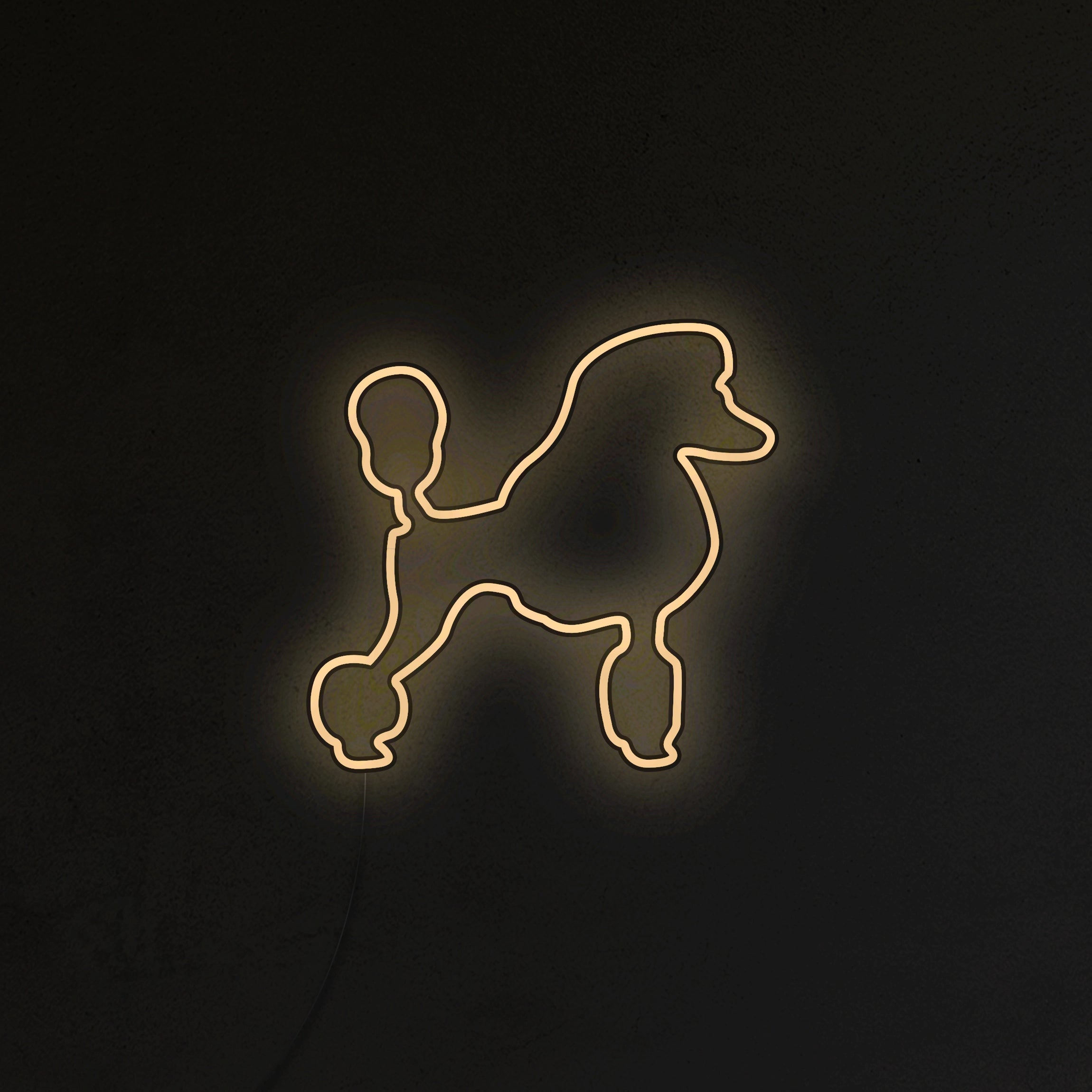 Pudel Neon LED