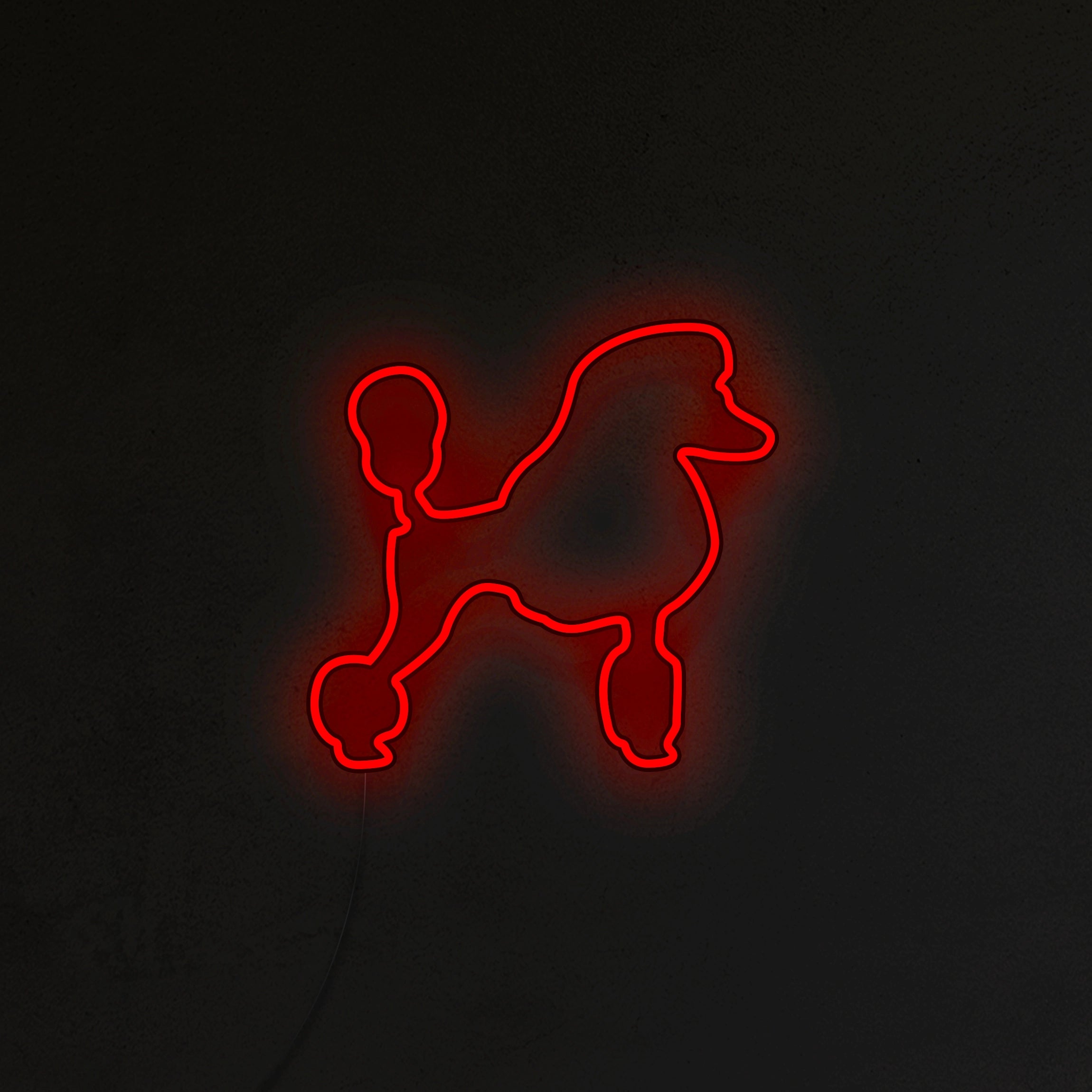 Pudel Neon LED