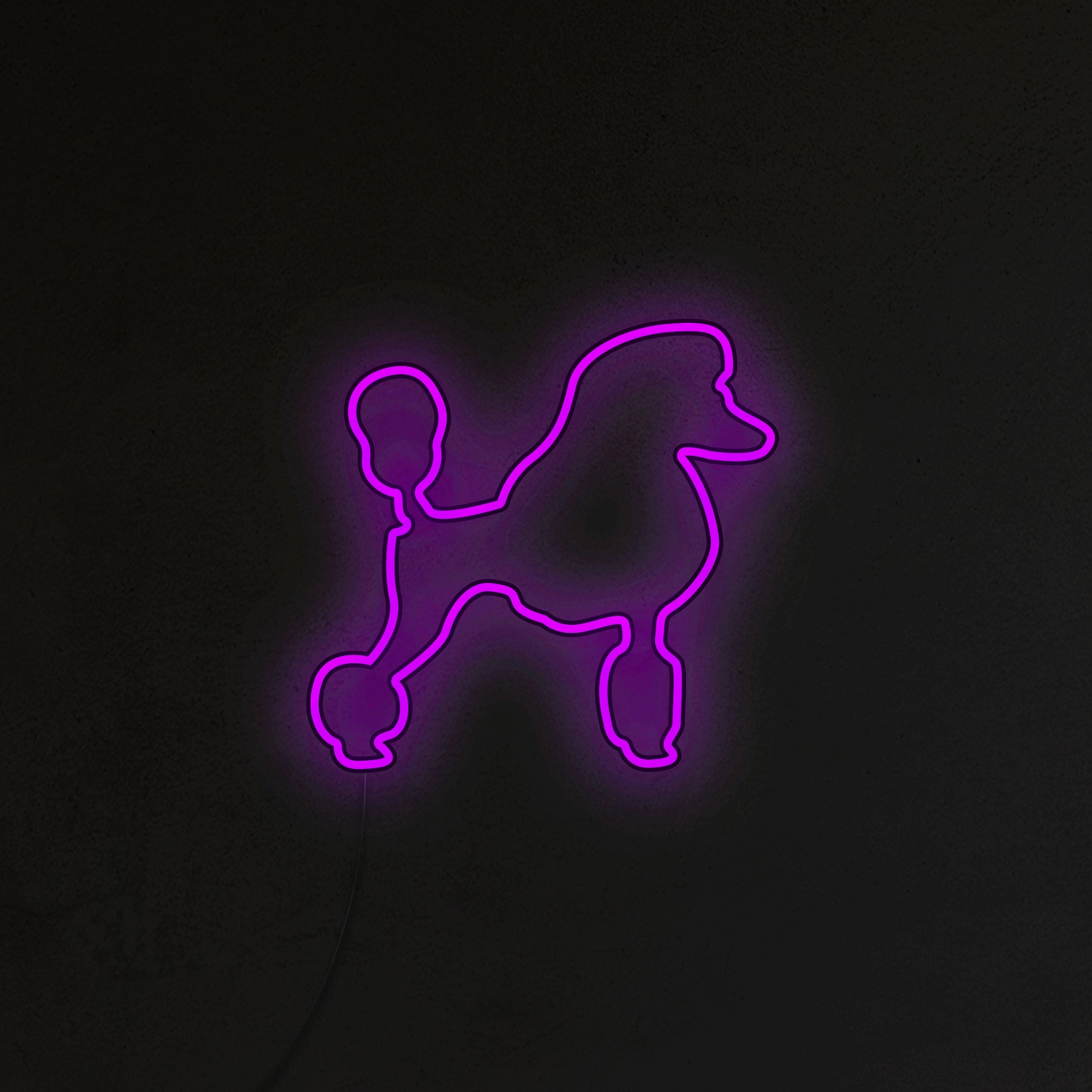 Pudel Neon LED