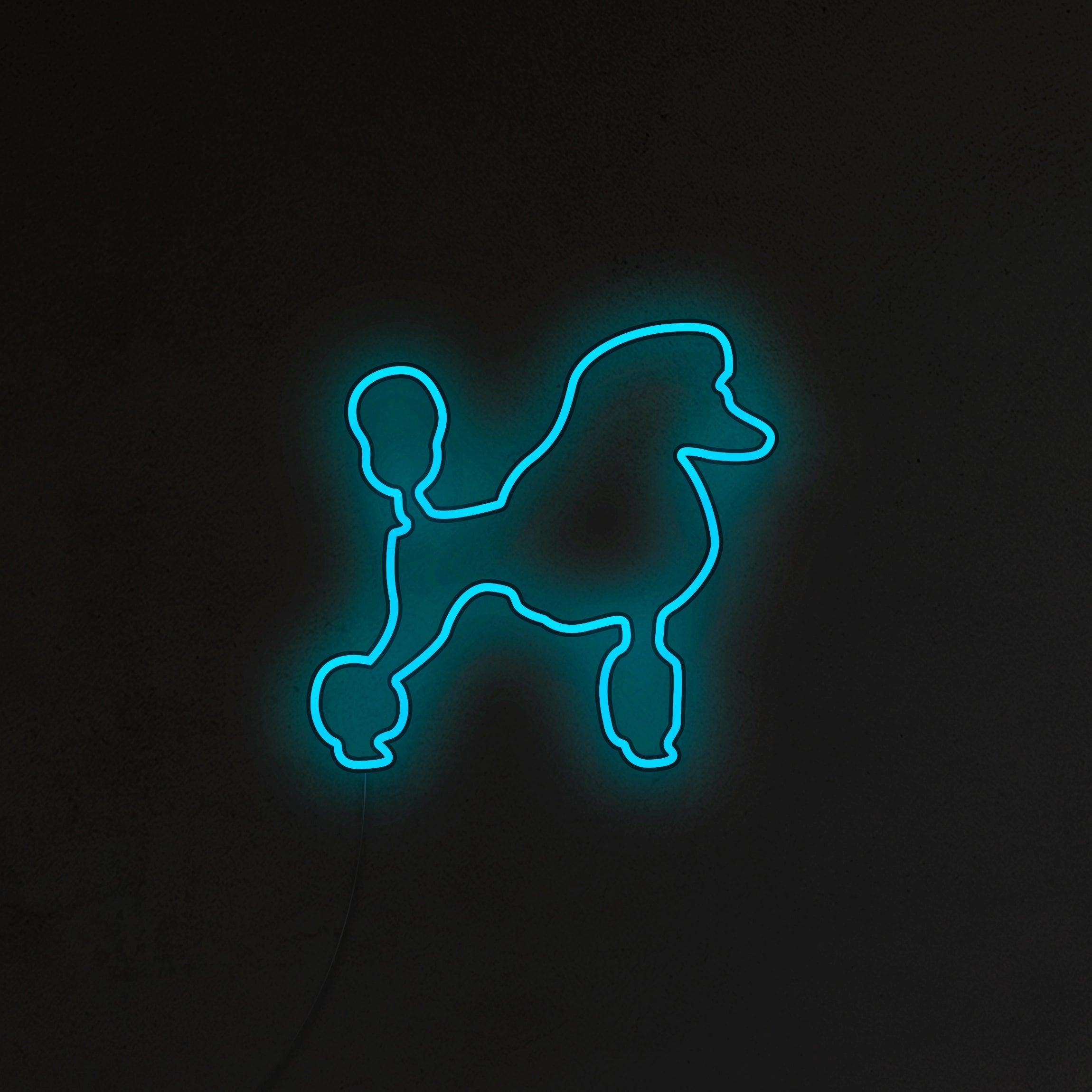 Pudel Neon LED