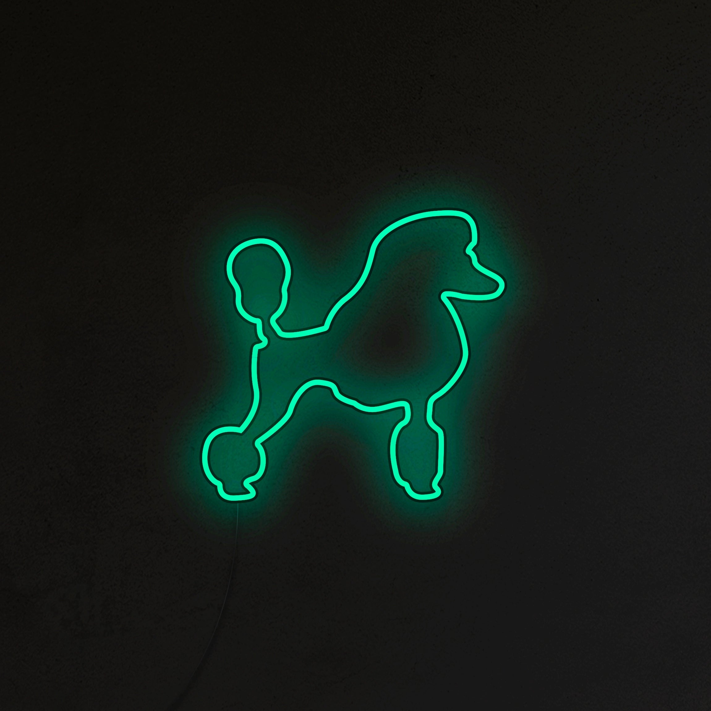 Pudel Neon LED
