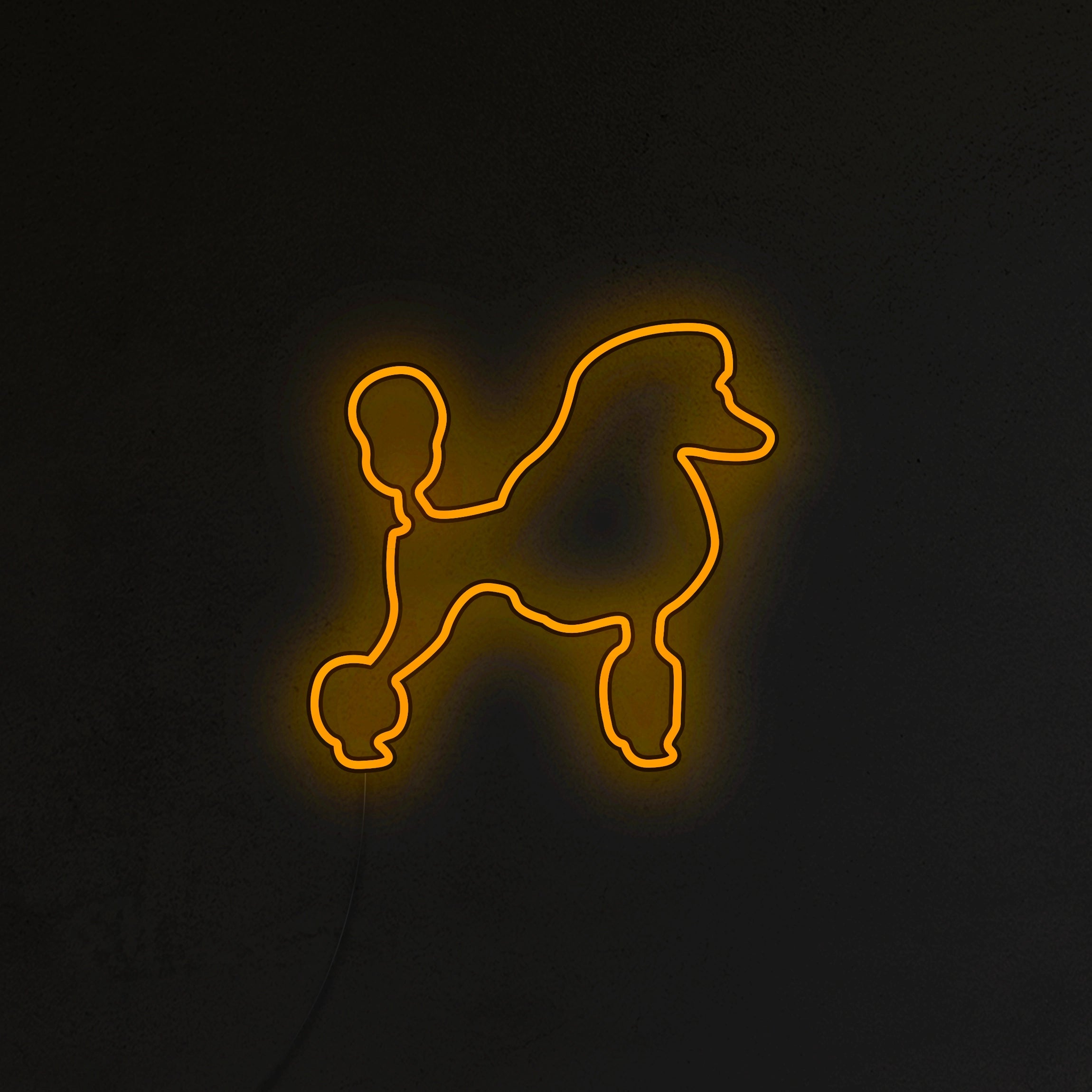 Pudel Neon LED