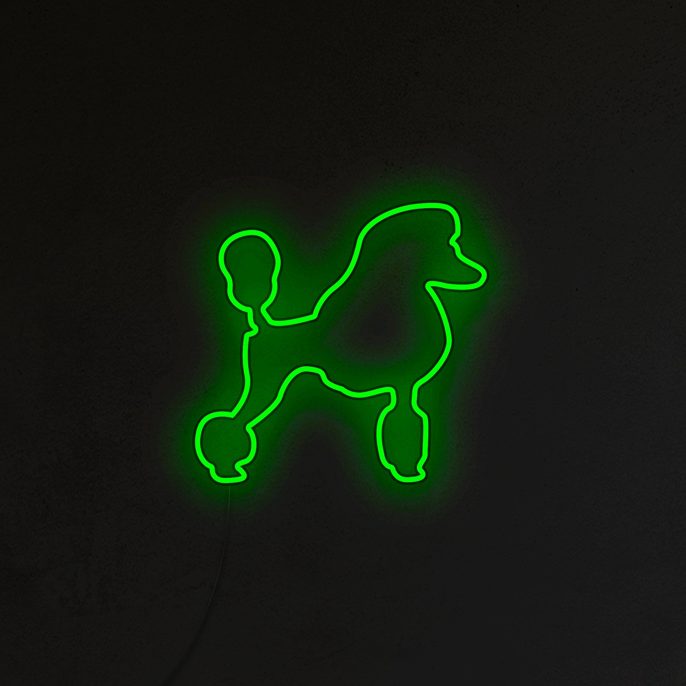 Pudel Neon LED