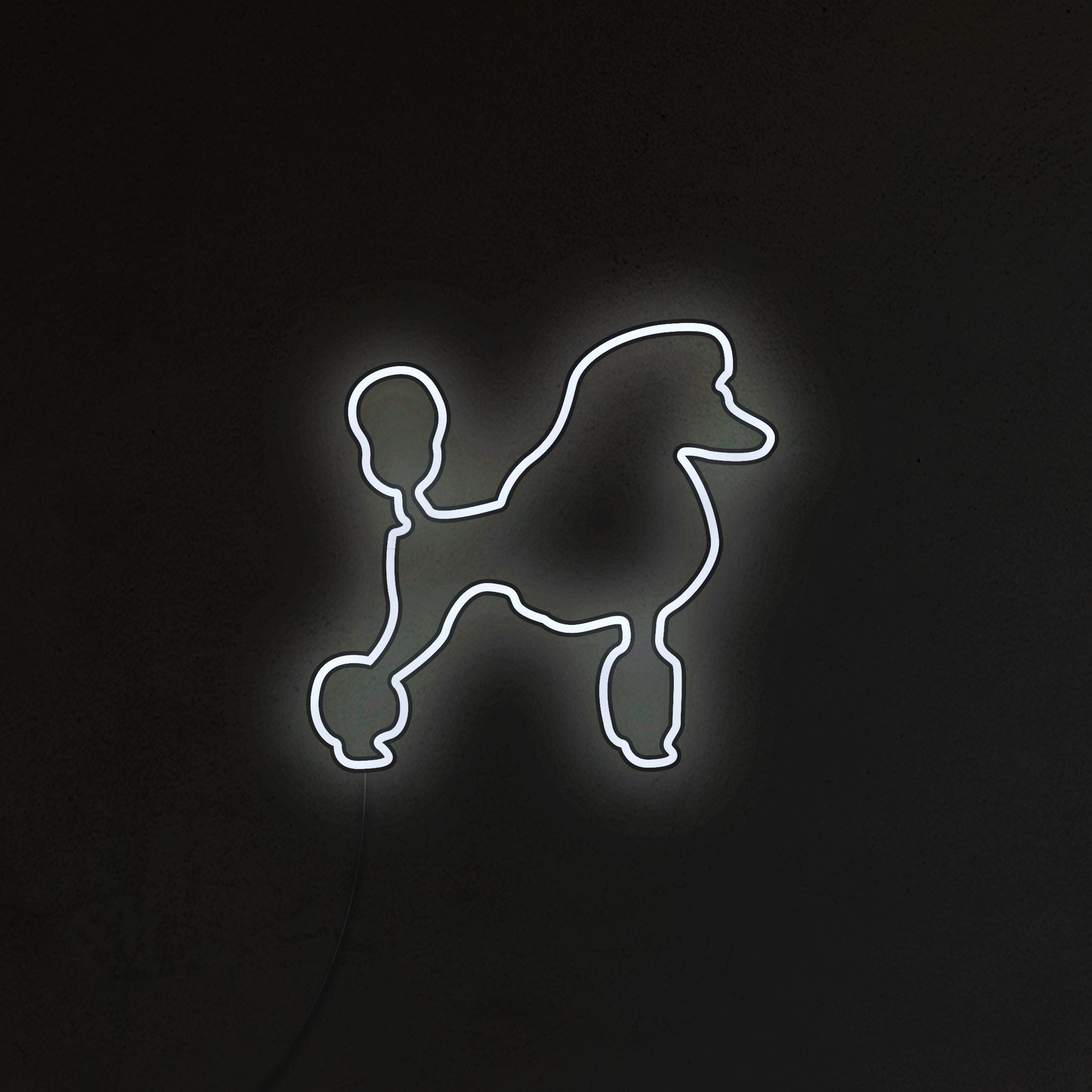 Pudel Neon LED