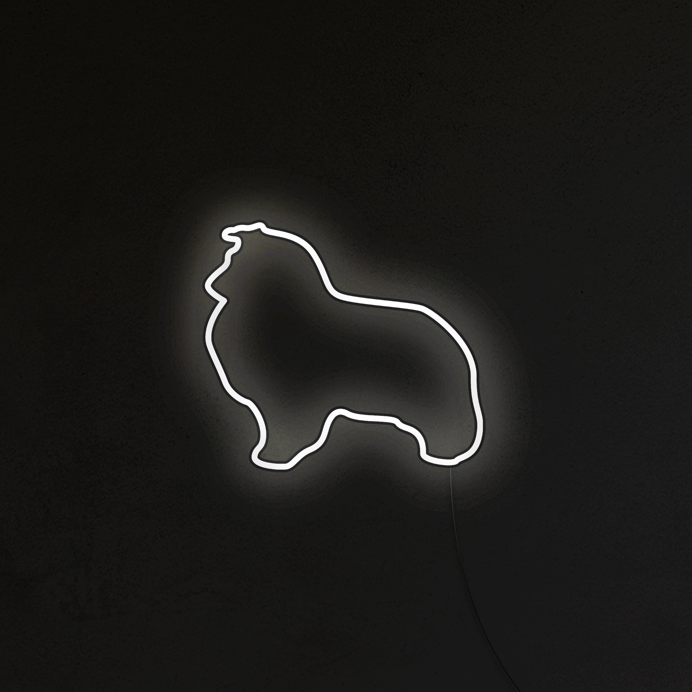 Sheltie Neon LED