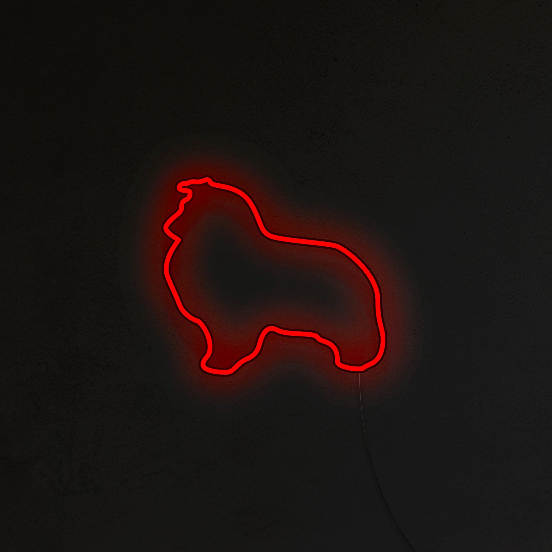 Sheltie Neon LED