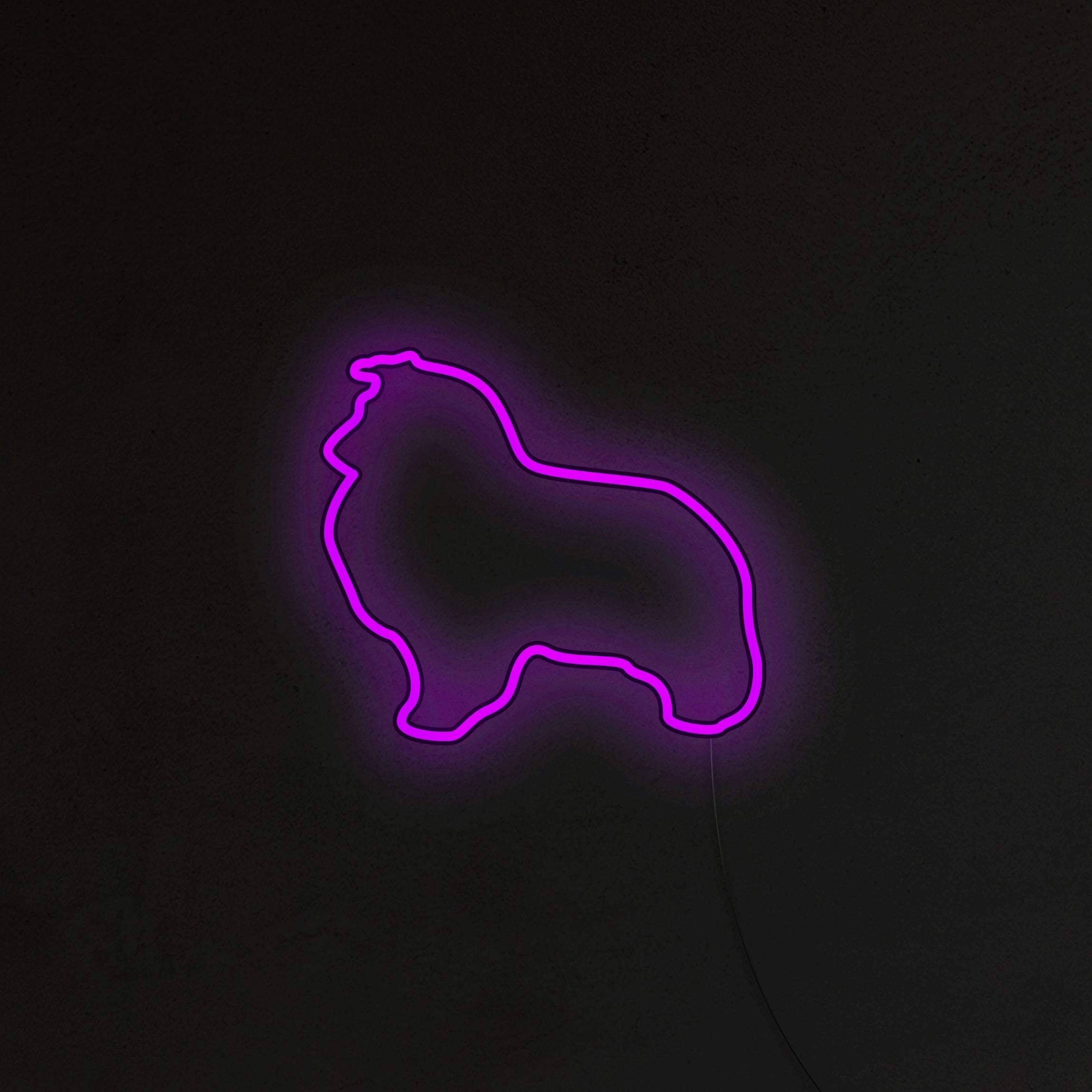 Sheltie Neon LED