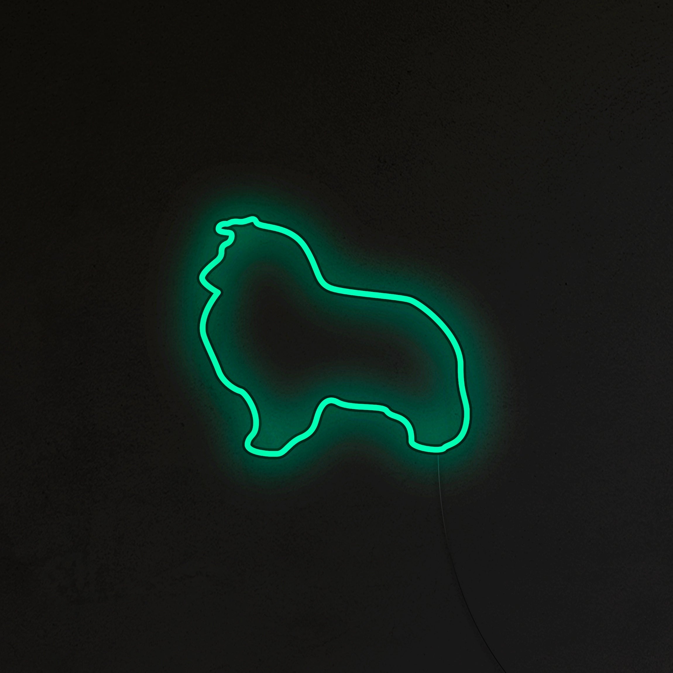 Sheltie Neon LED