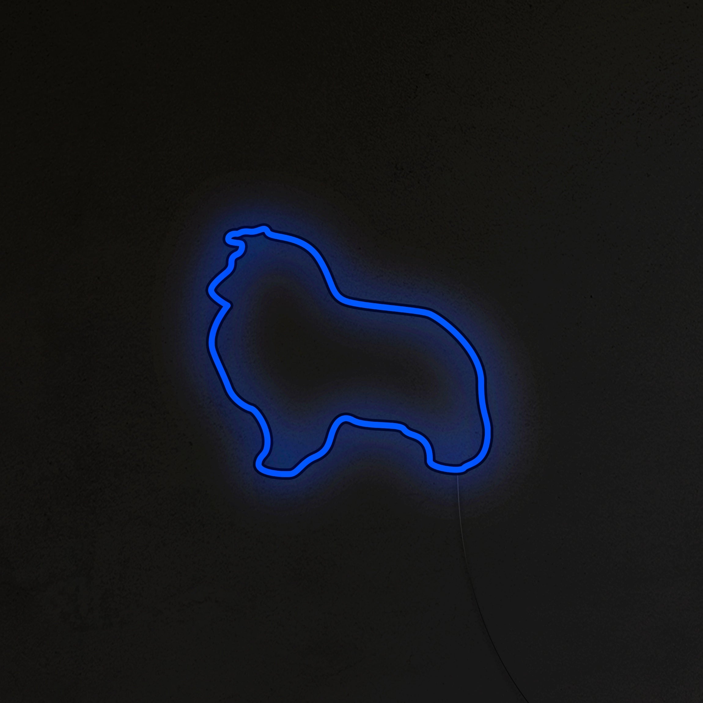 Sheltie Neon LED