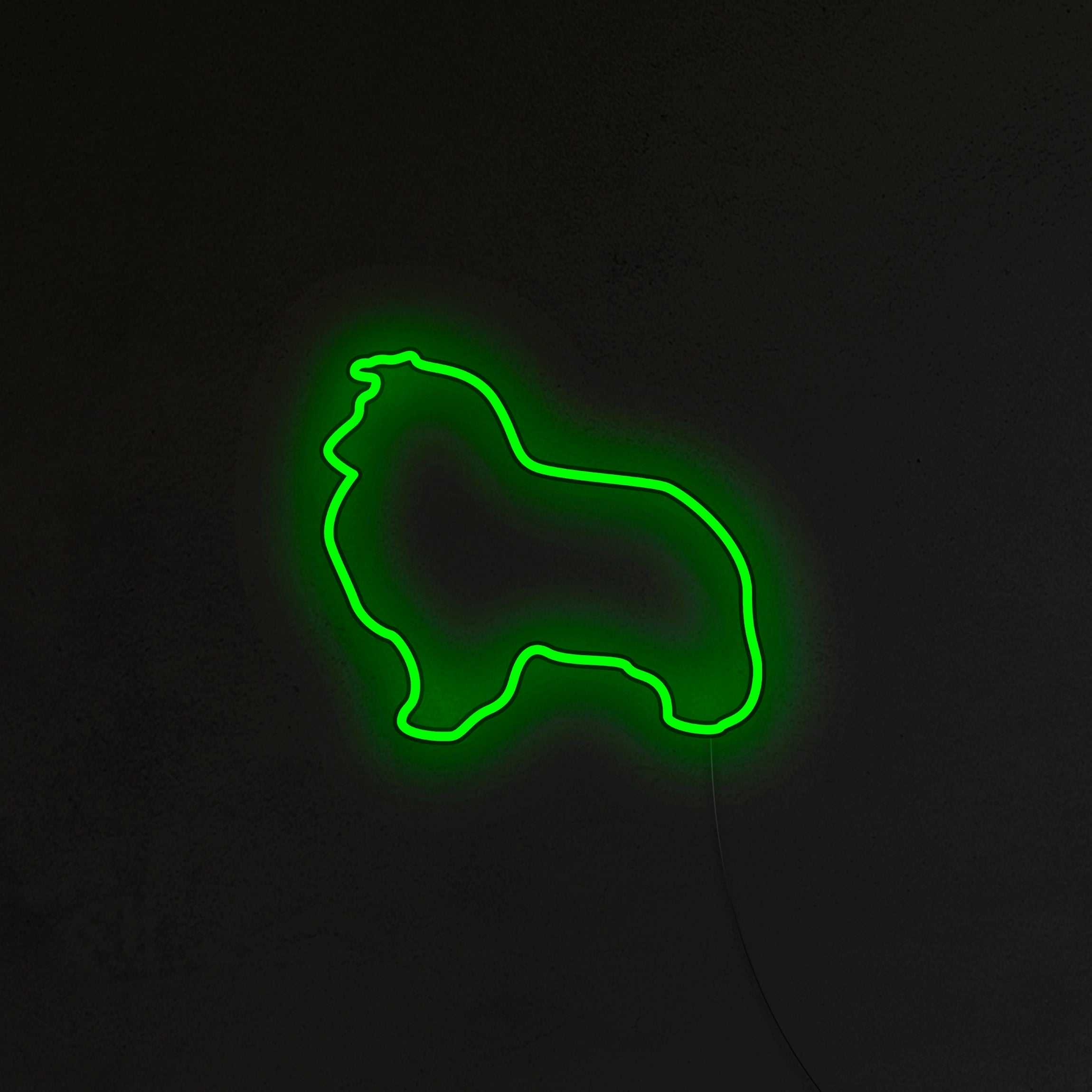 Sheltie Neon LED