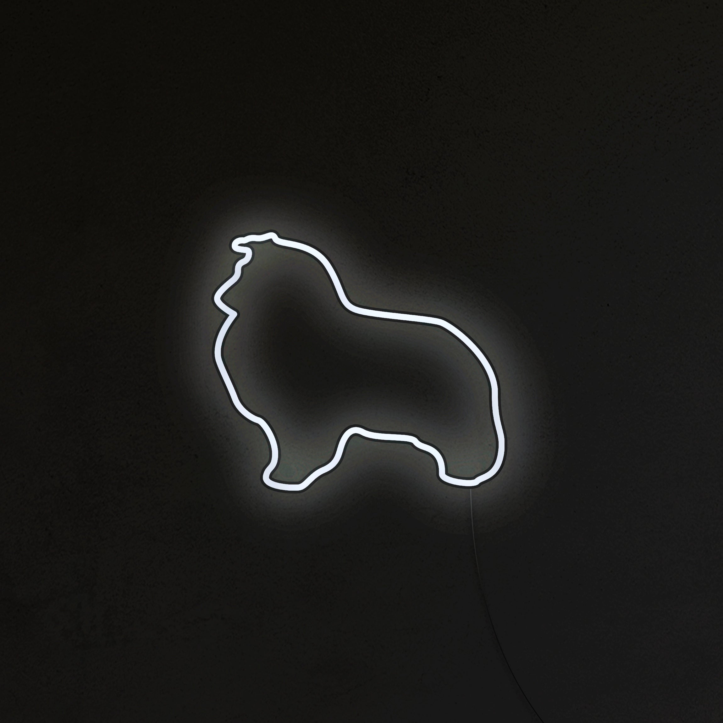 Sheltie Neon LED