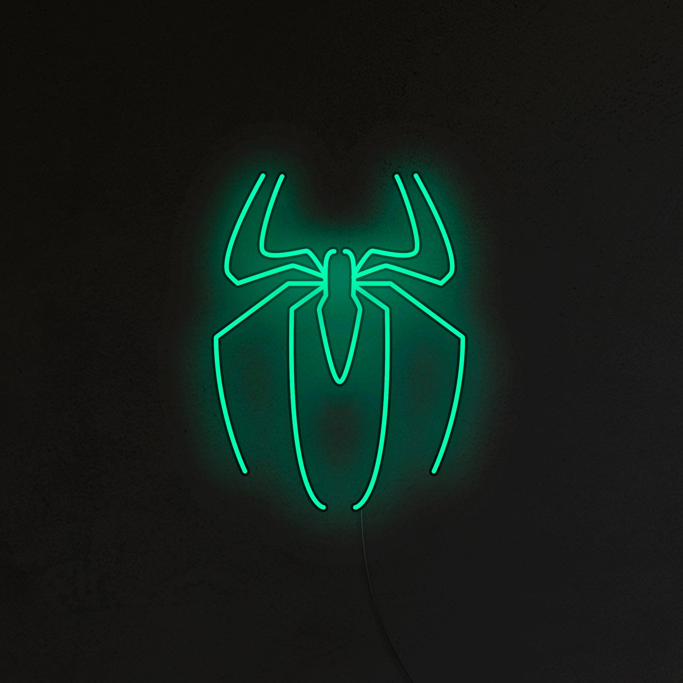 Spider-Man Neon LED