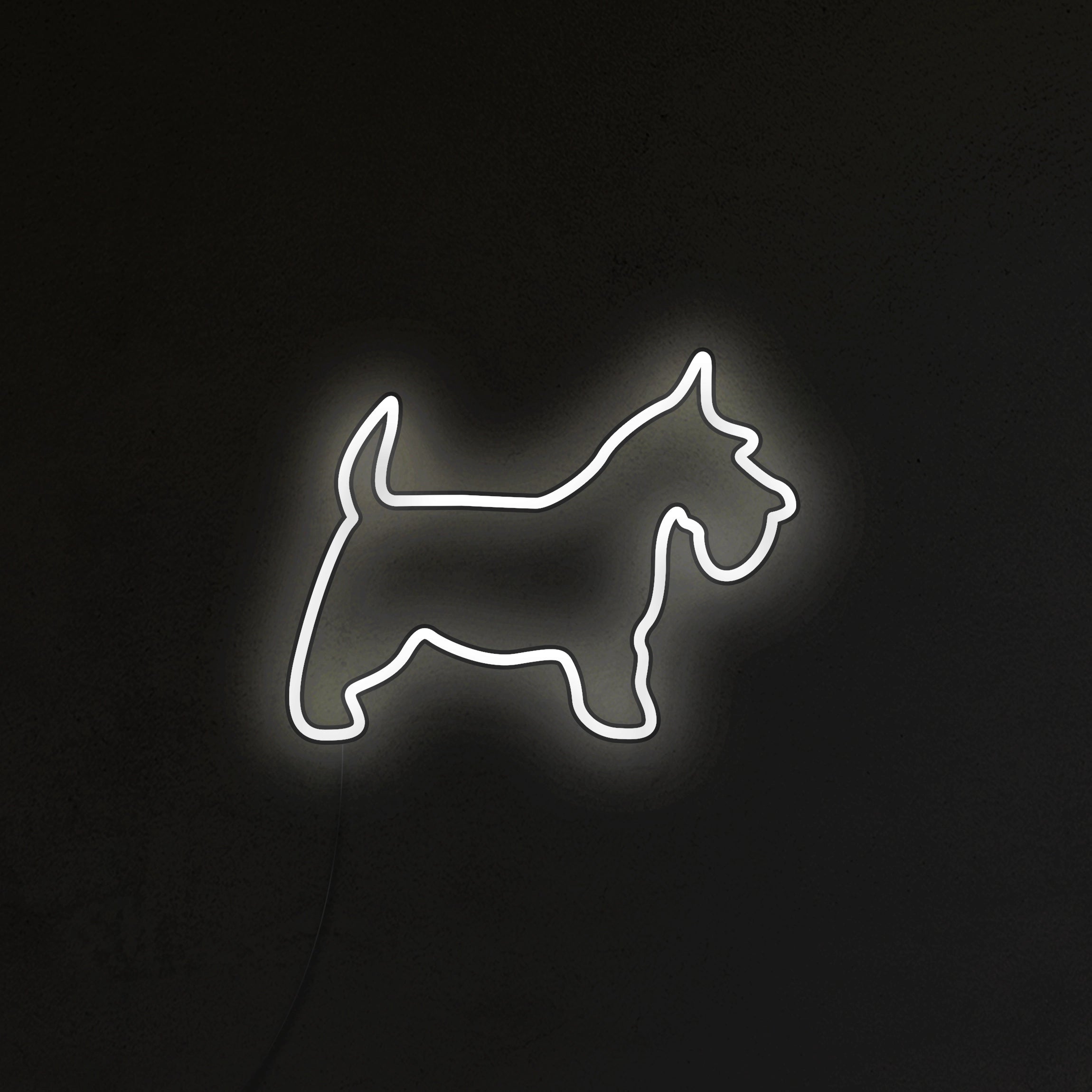 Schnauzer Neon LED