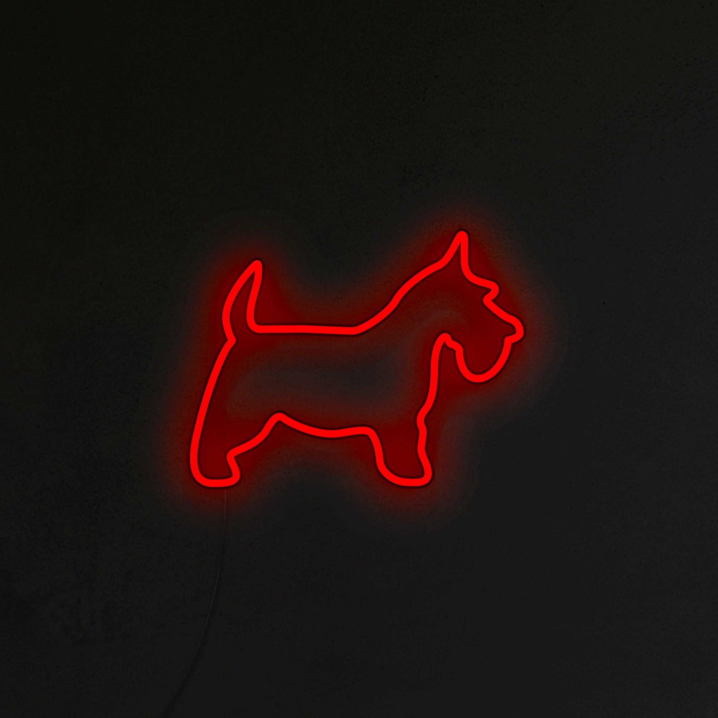 Schnauzer Neon LED