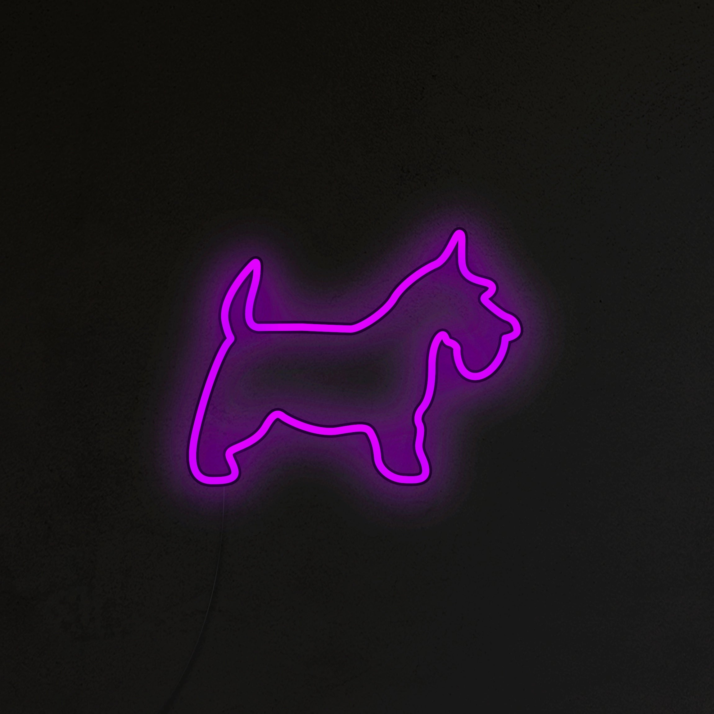 Schnauzer Neon LED