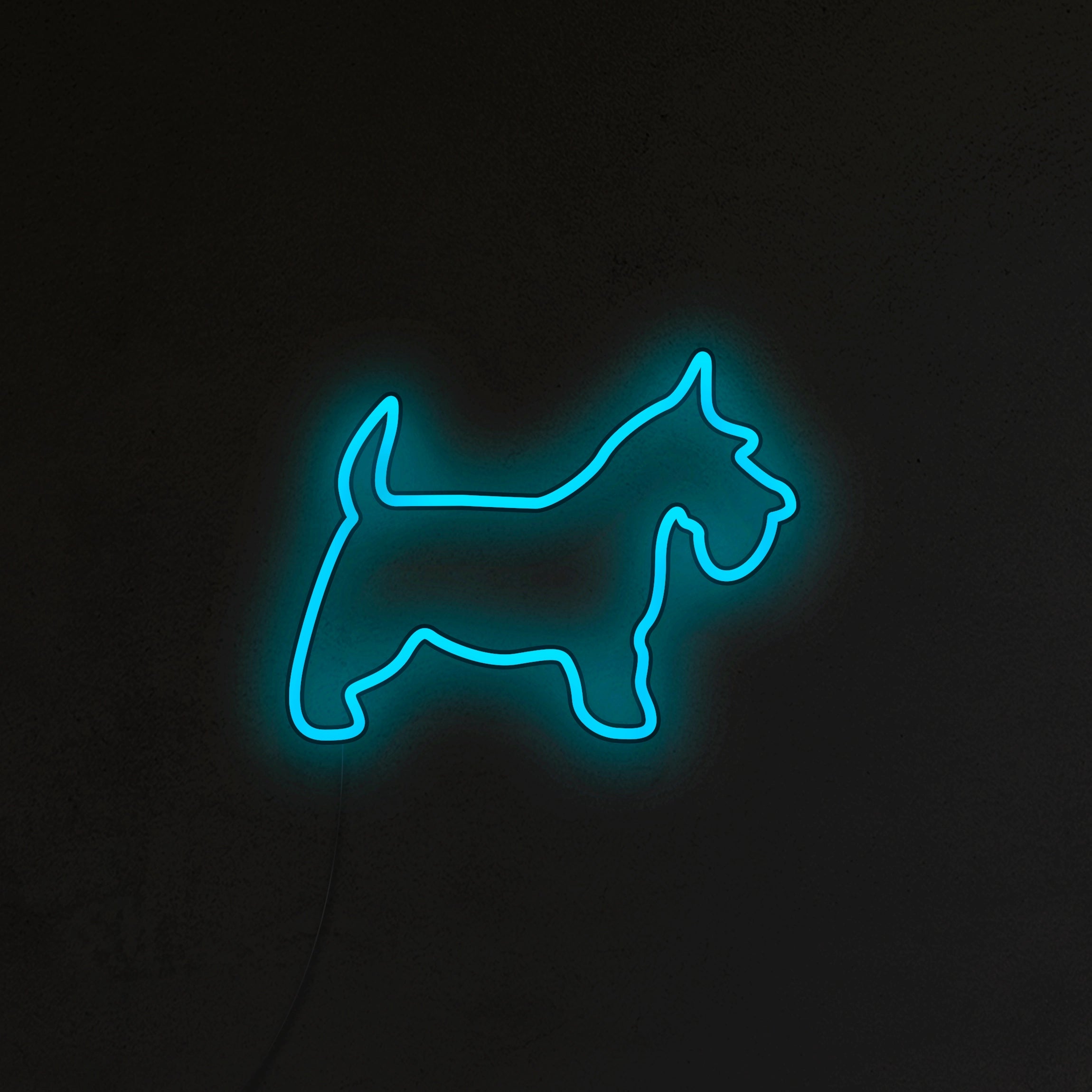 Schnauzer Neon LED
