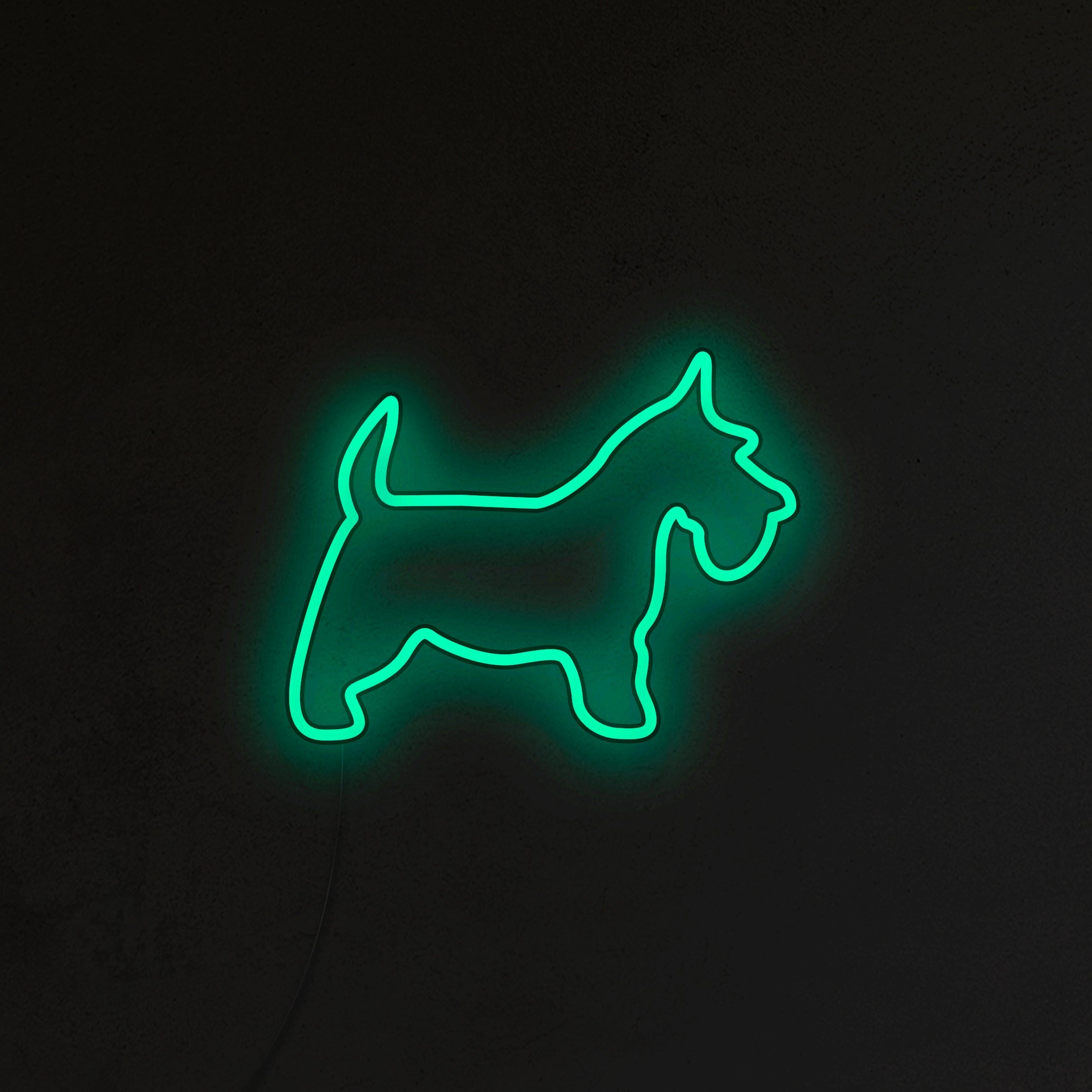 Schnauzer Neon LED