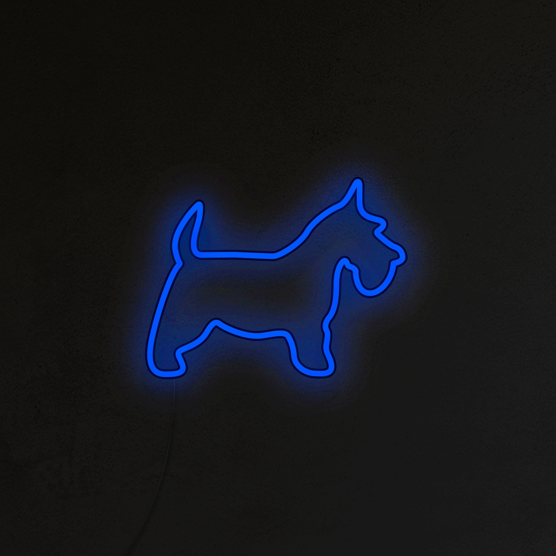 Schnauzer Neon LED