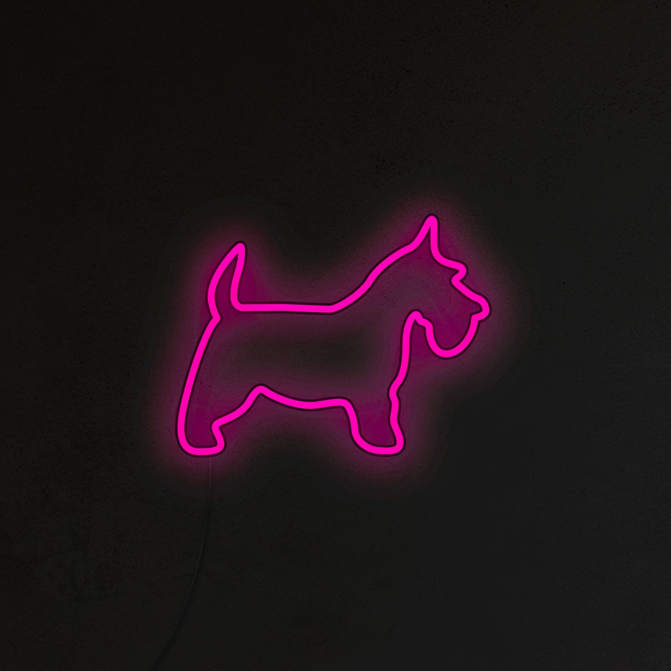 Schnauzer Neon LED
