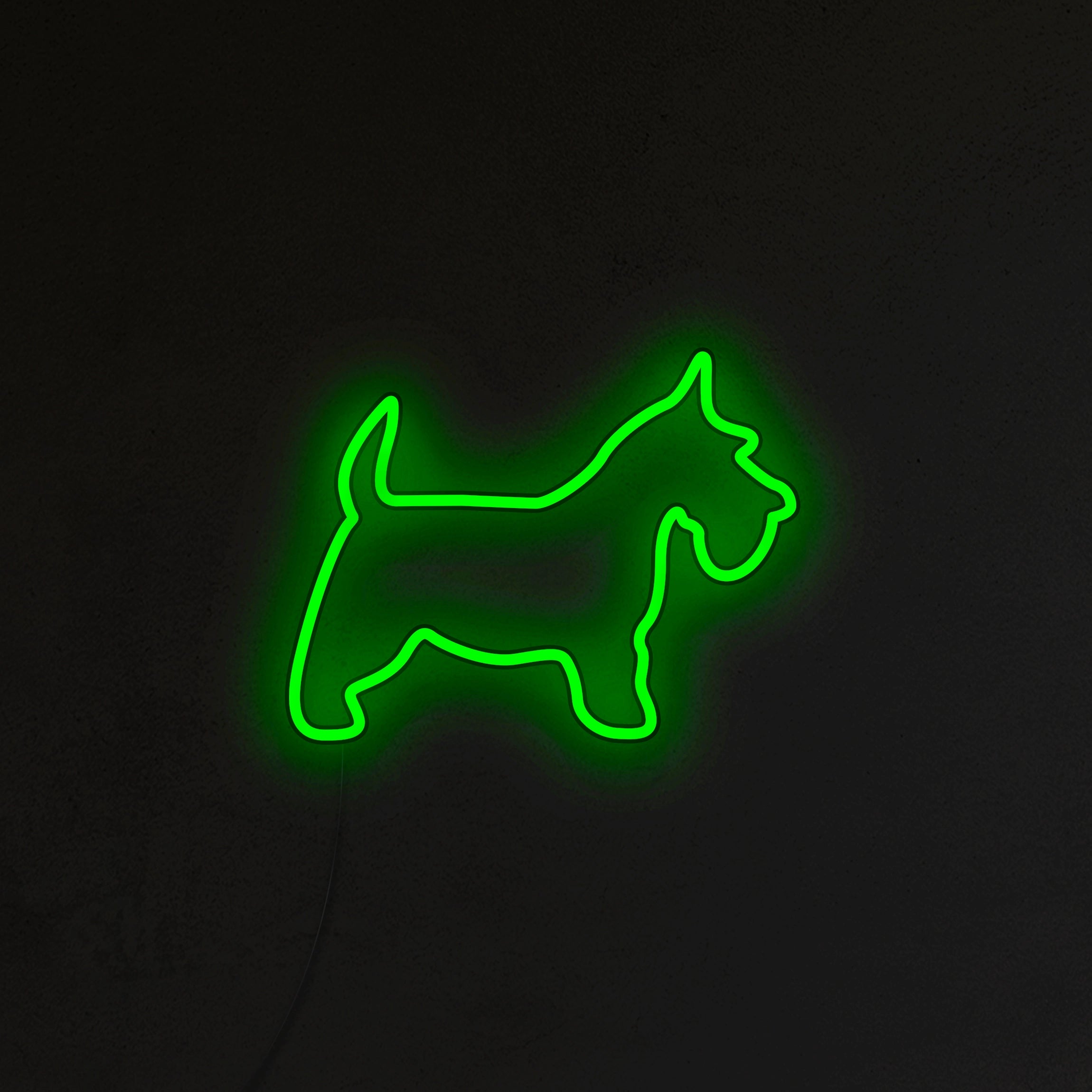 Schnauzer Neon LED