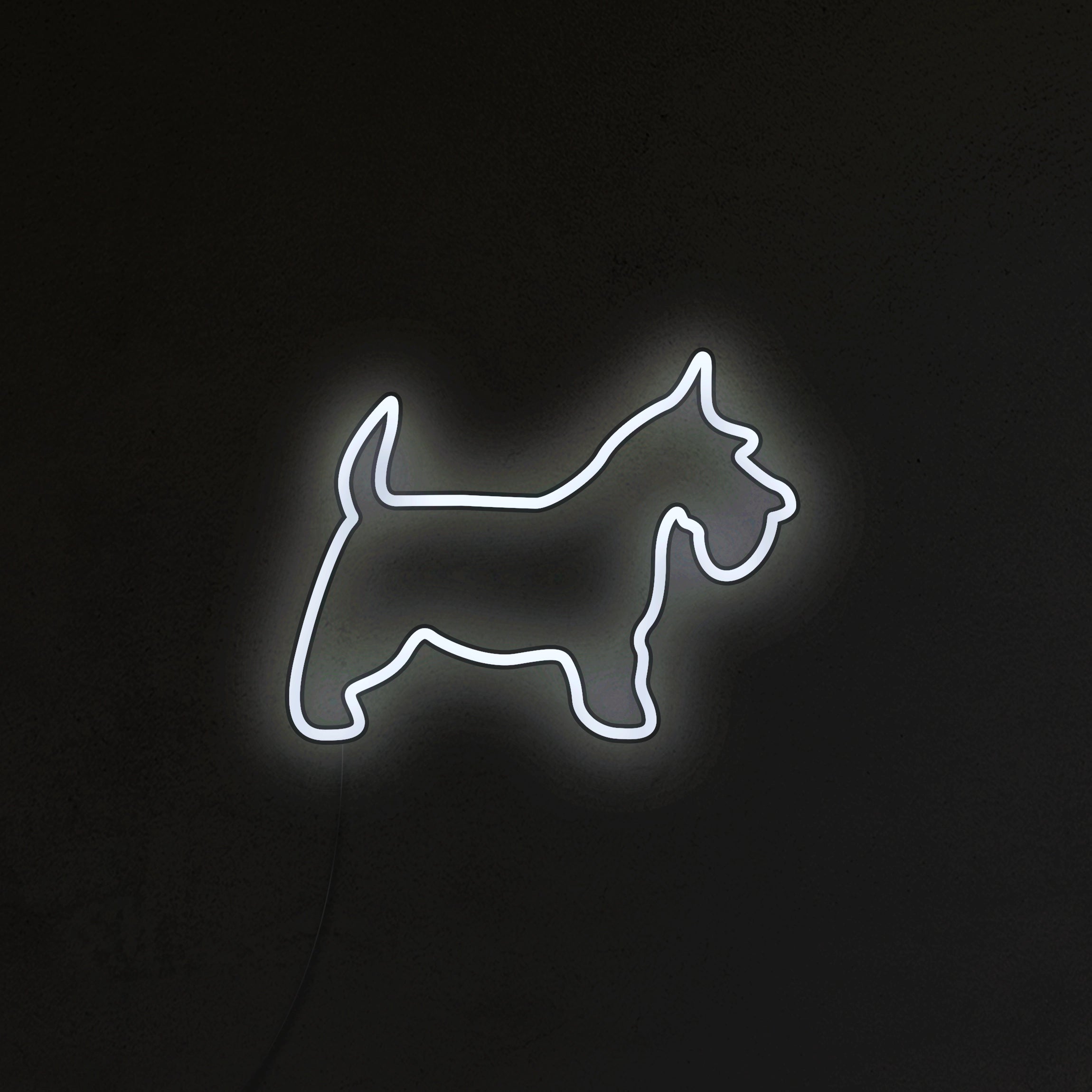 Schnauzer Neon LED