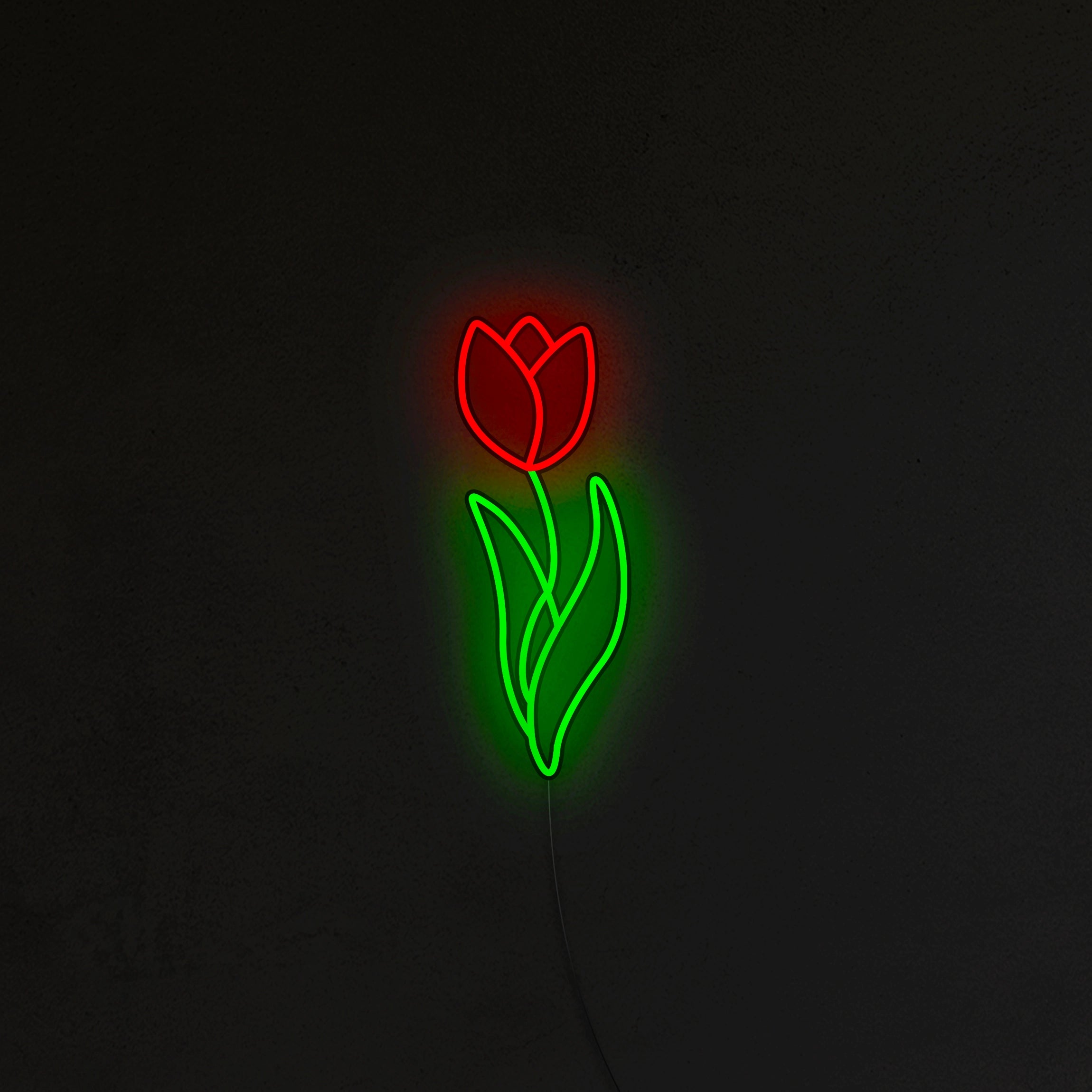 Tulipan Neon LED