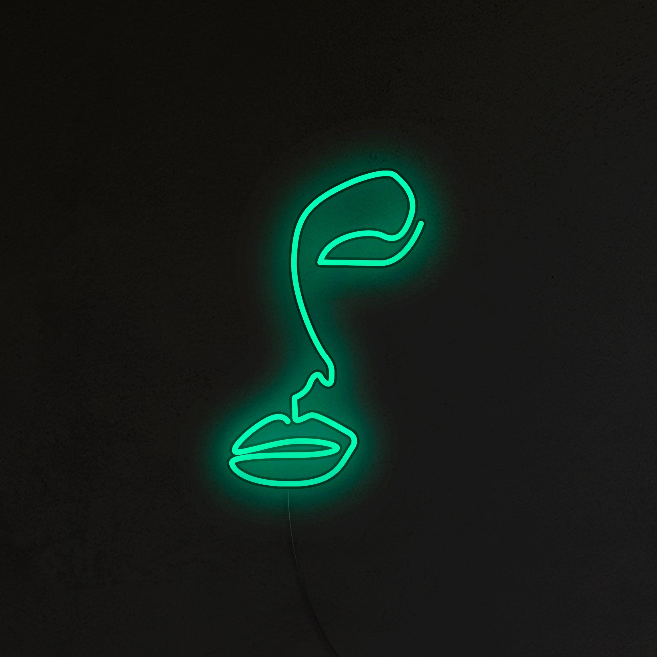 Twarz Neon LED