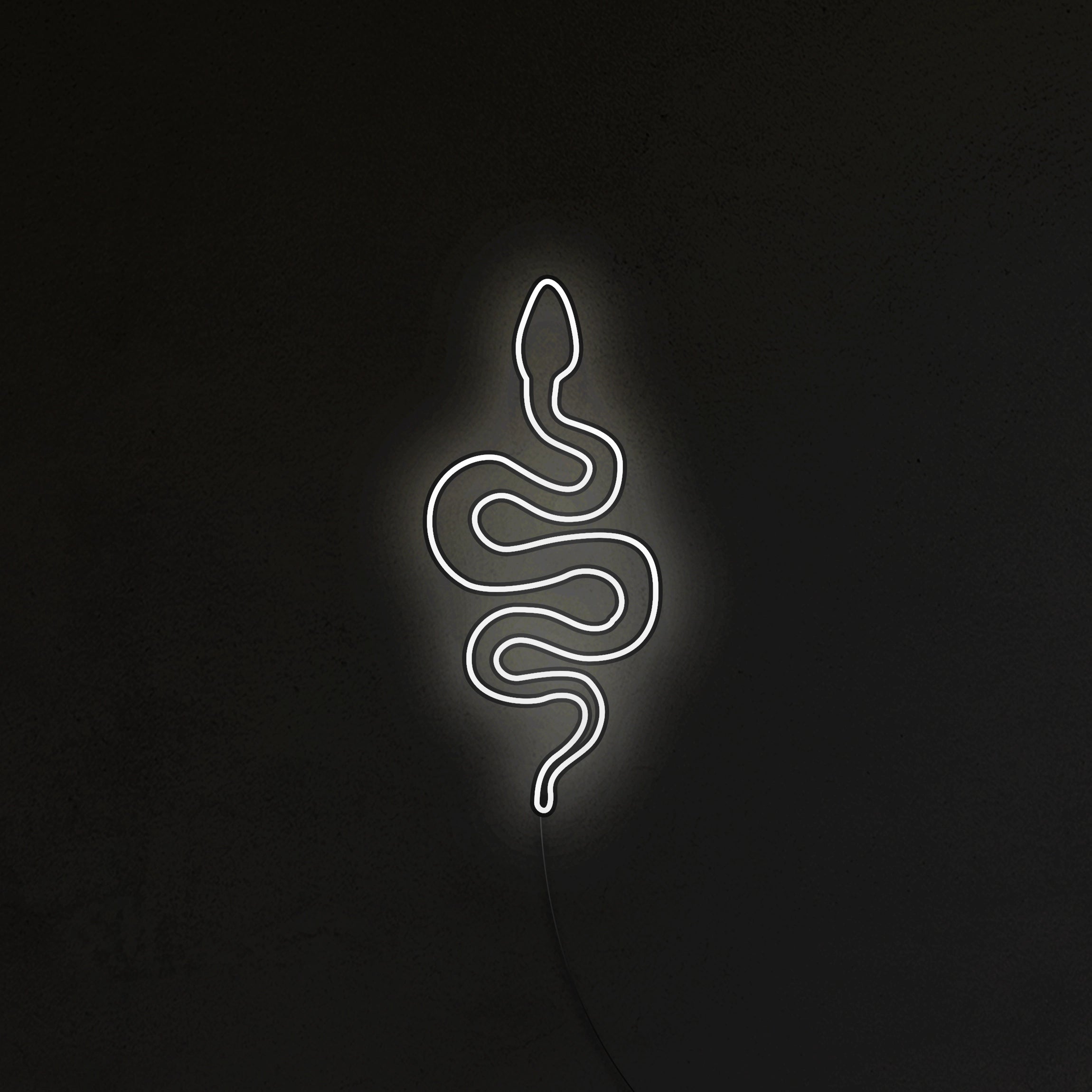 Wąż Neon LED