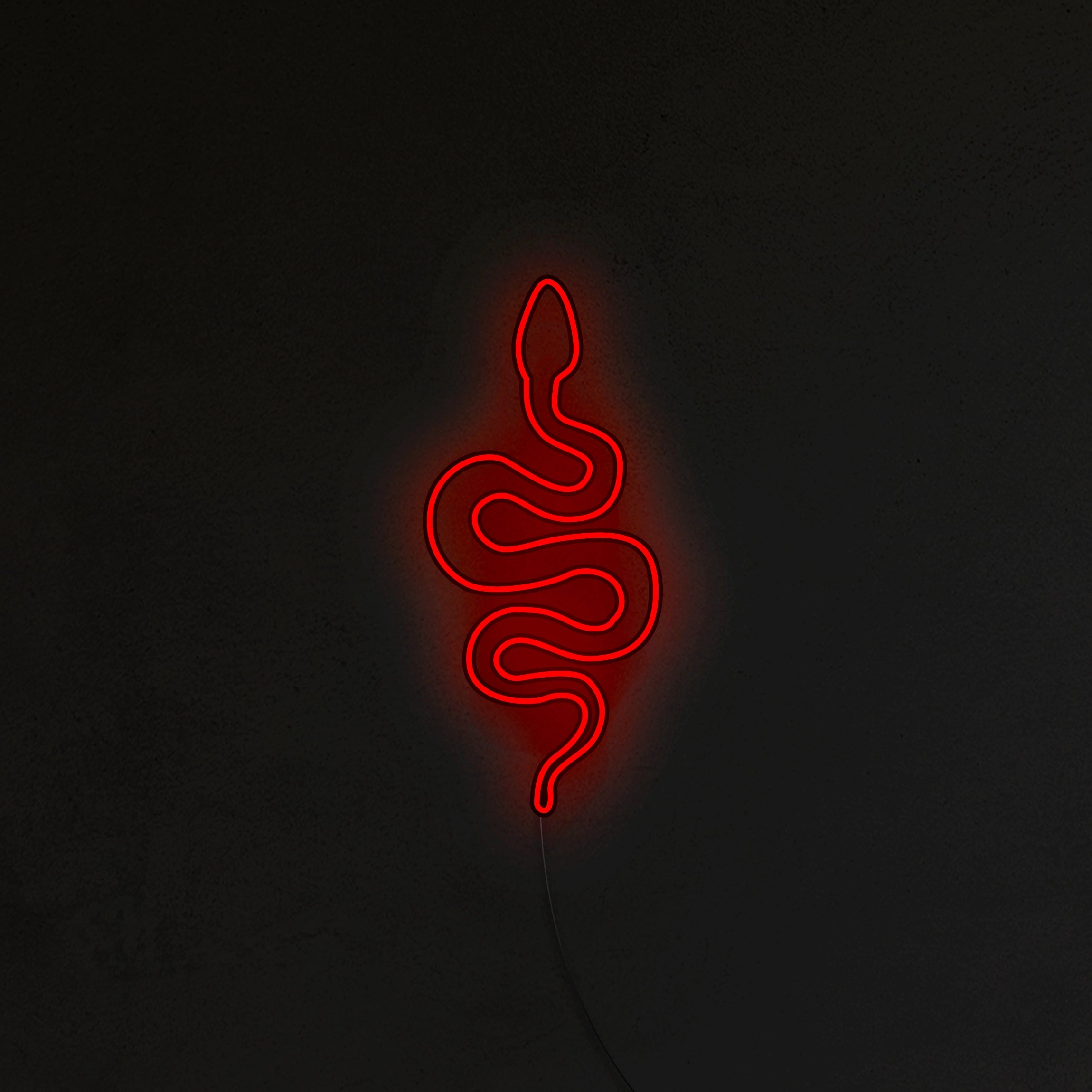 Wąż Neon LED