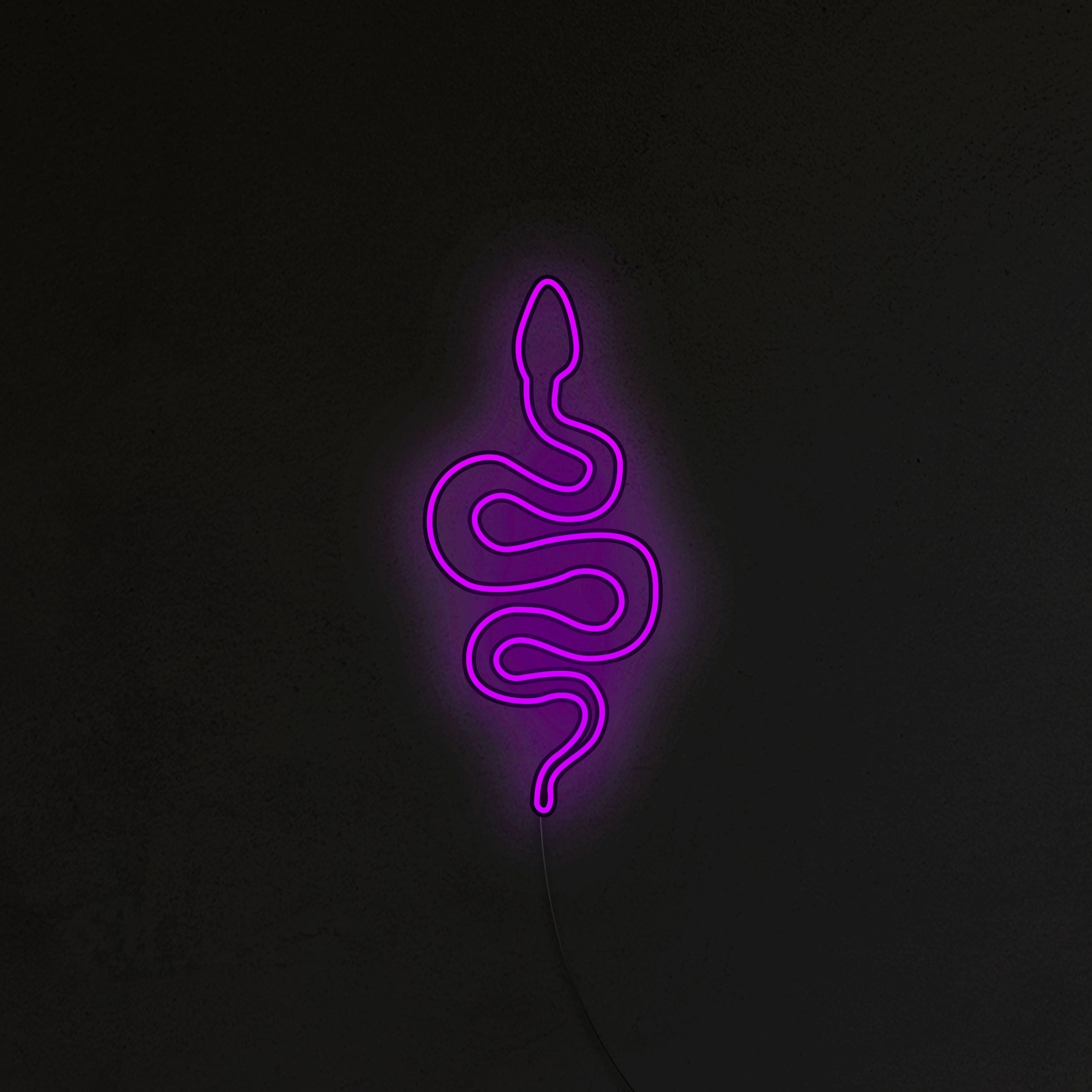 Wąż Neon LED