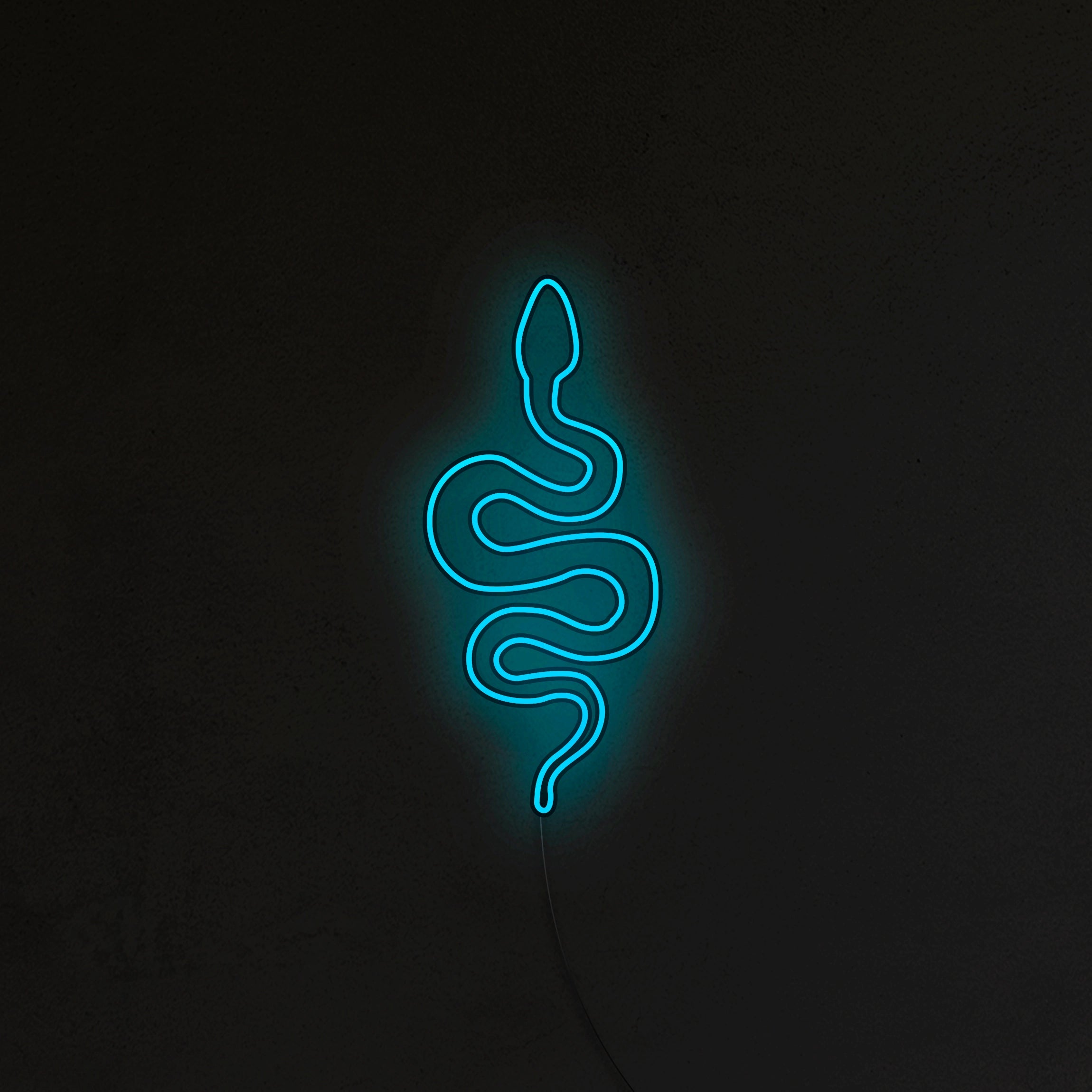 Wąż Neon LED