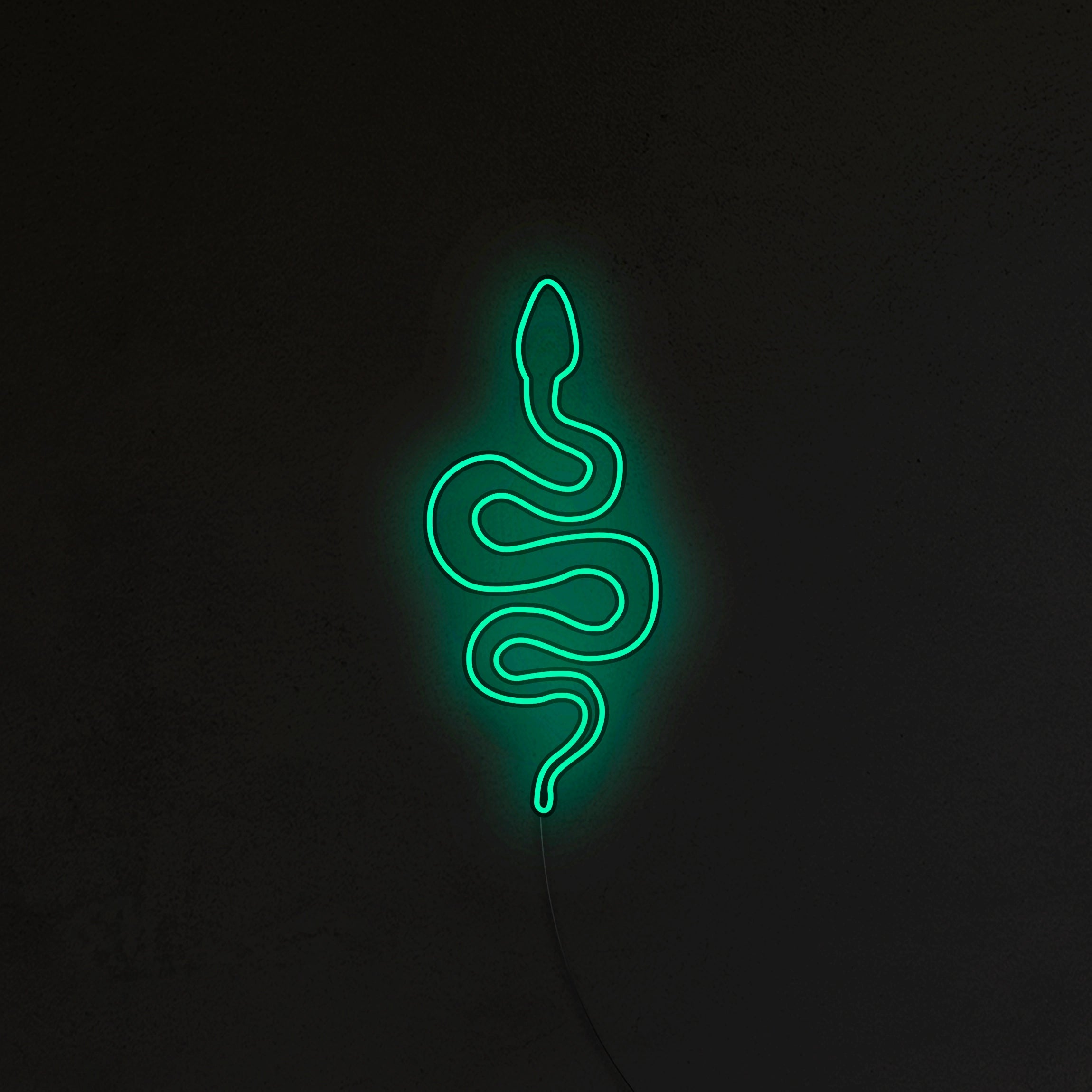 Wąż Neon LED