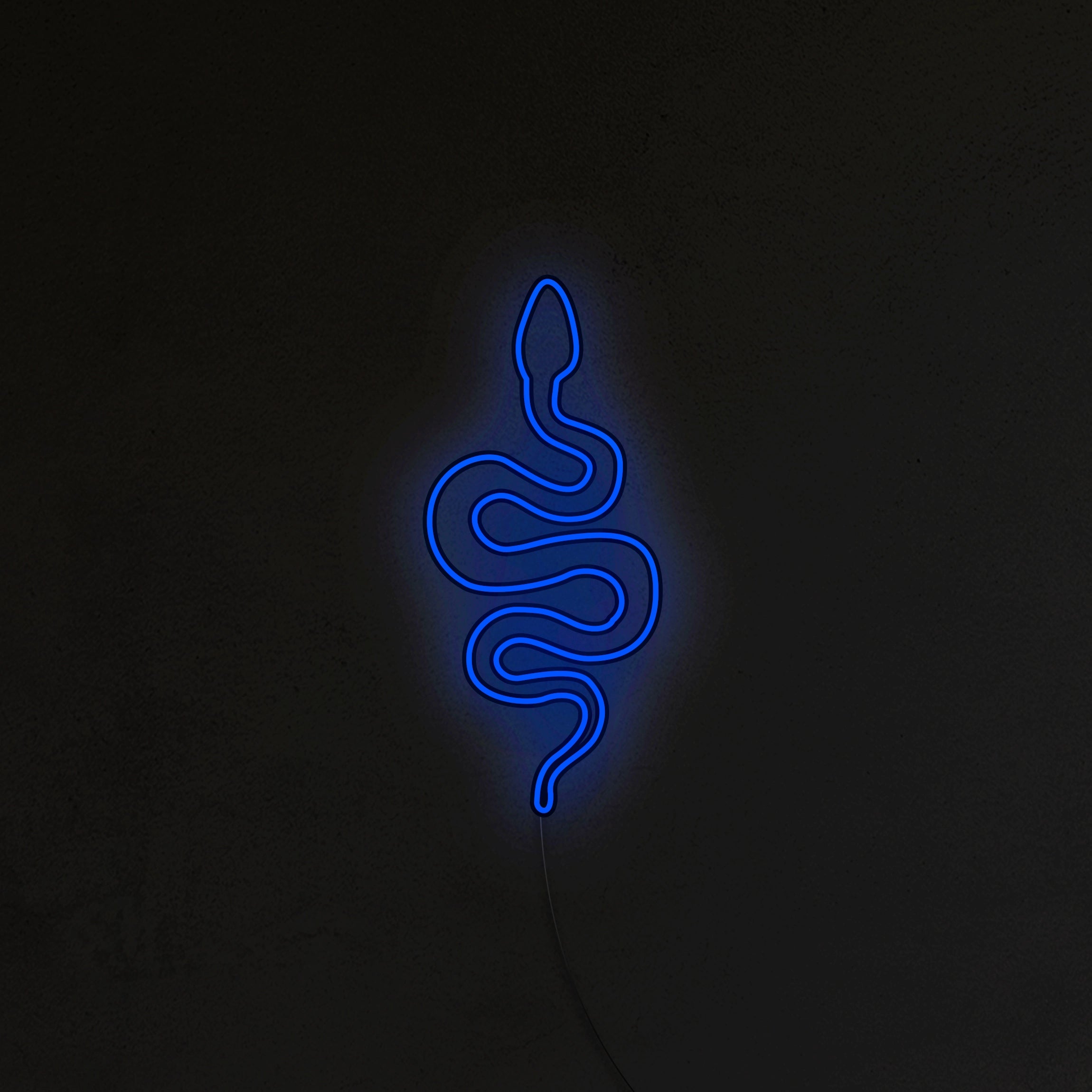 Wąż Neon LED