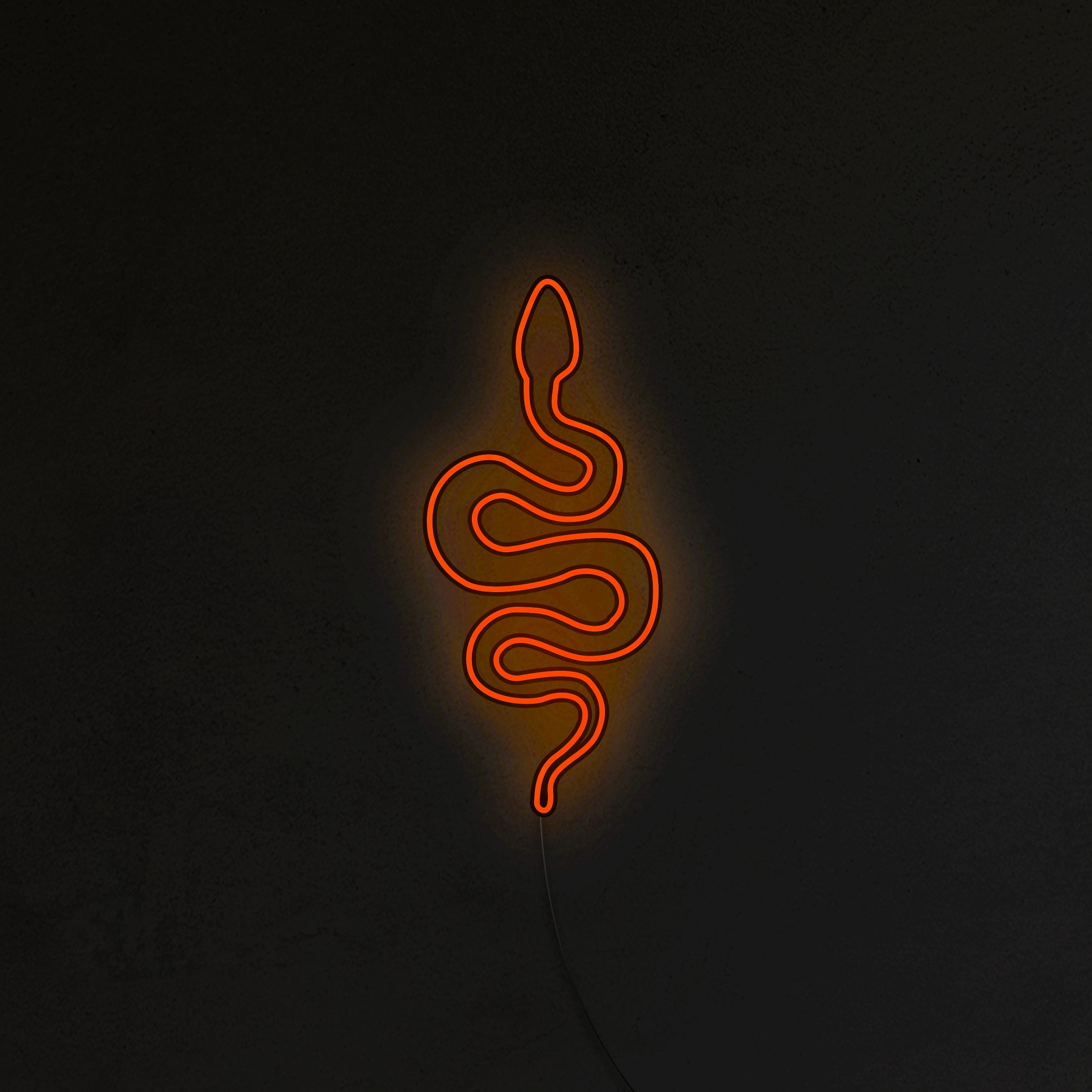 Wąż Neon LED