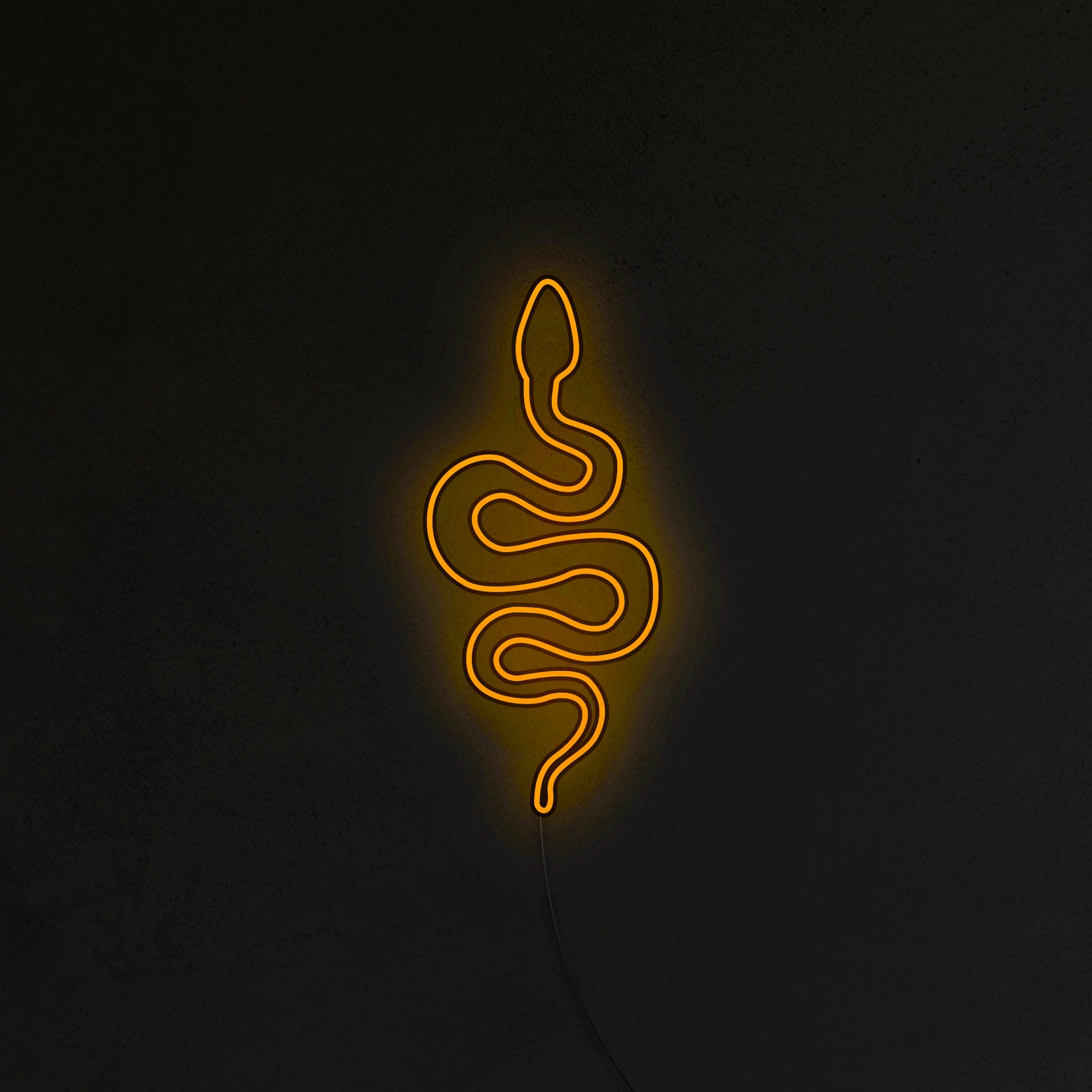 Wąż Neon LED