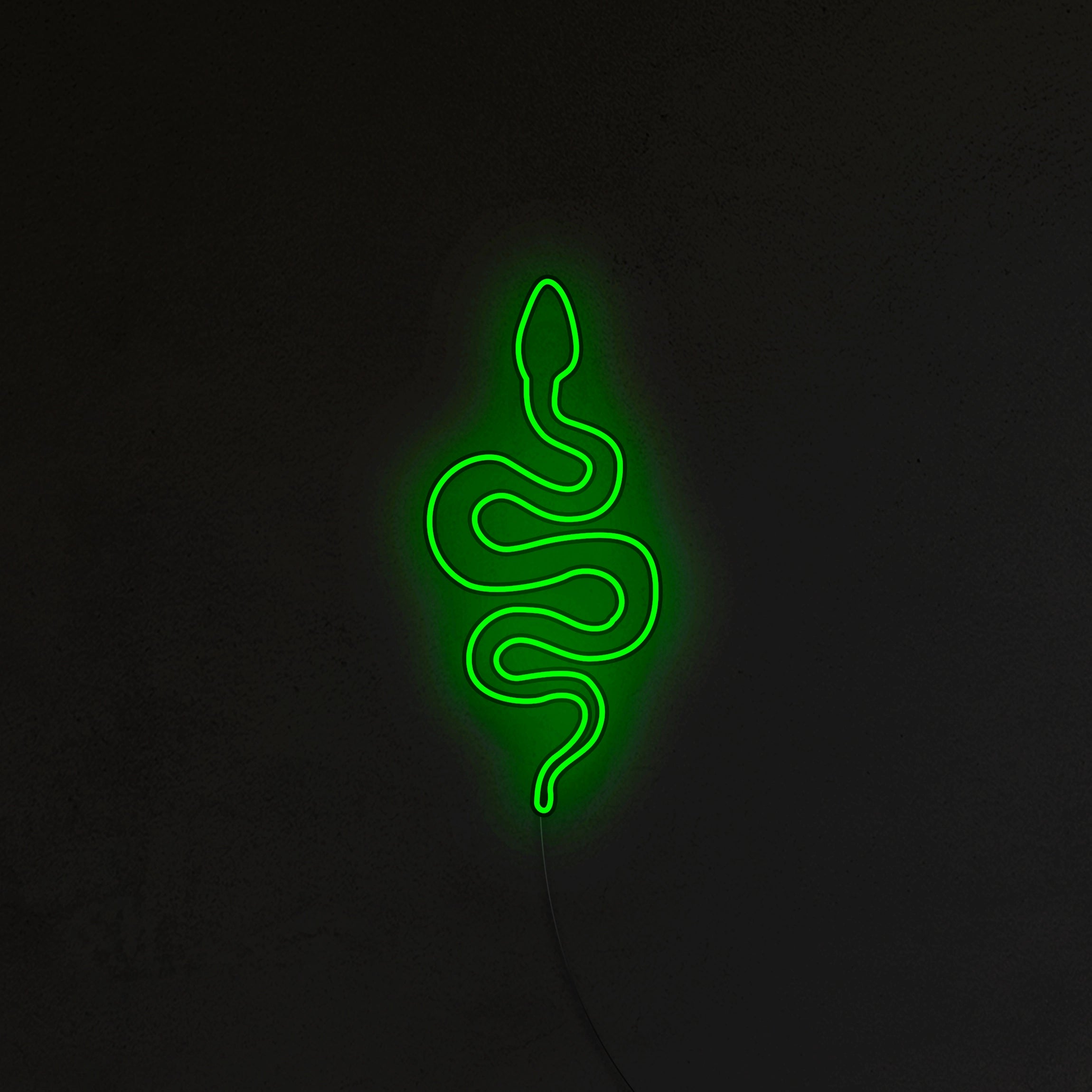 Wąż Neon LED