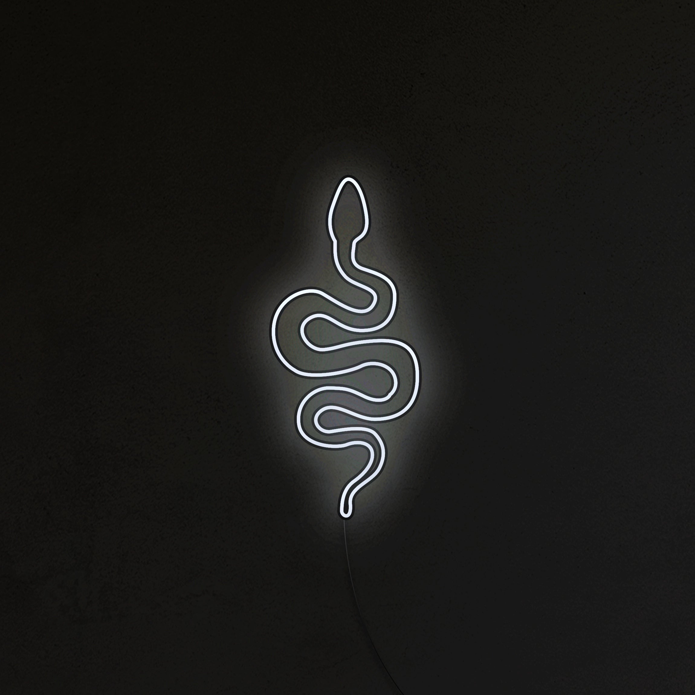 Wąż Neon LED
