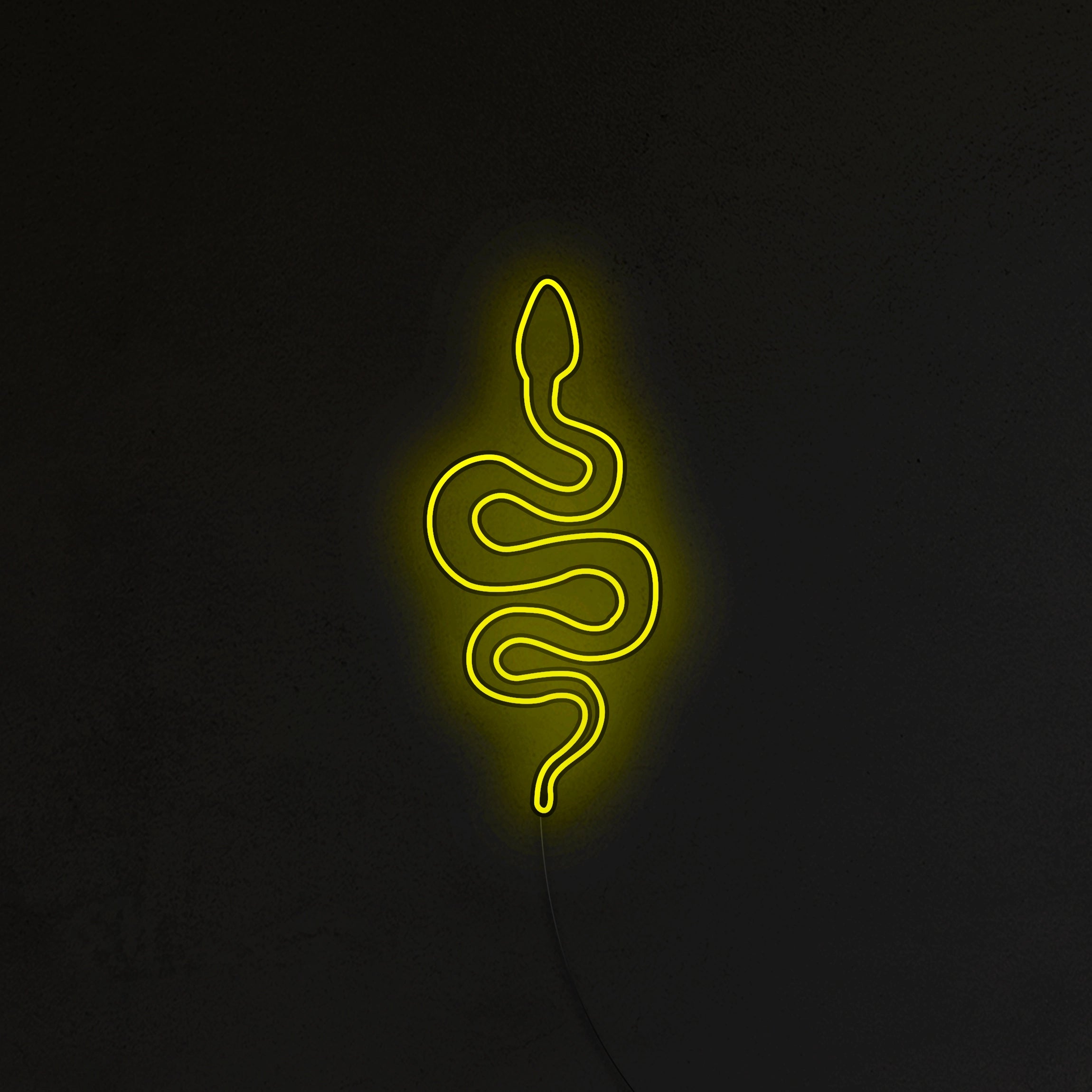 Wąż Neon LED