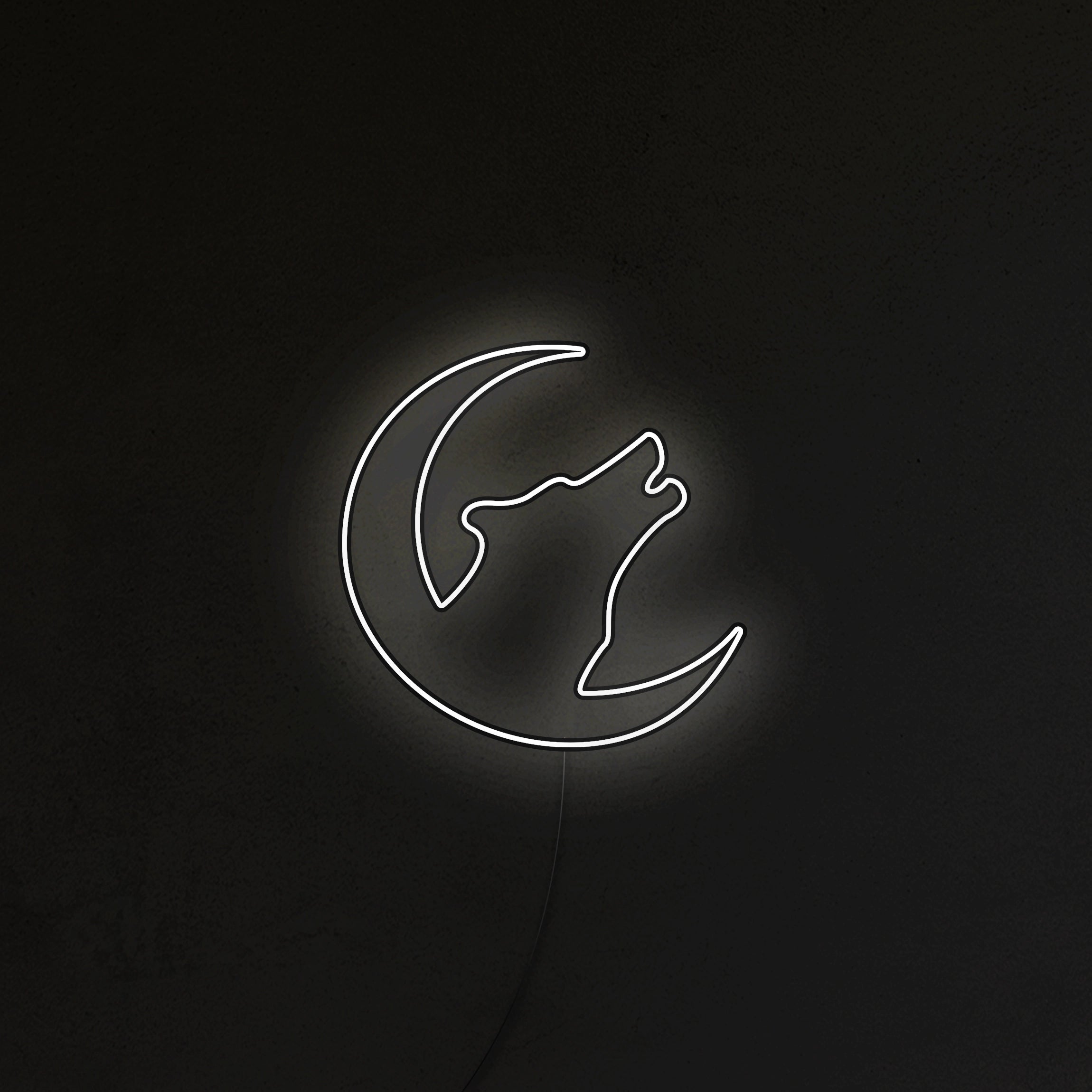 Wilk Neon LED