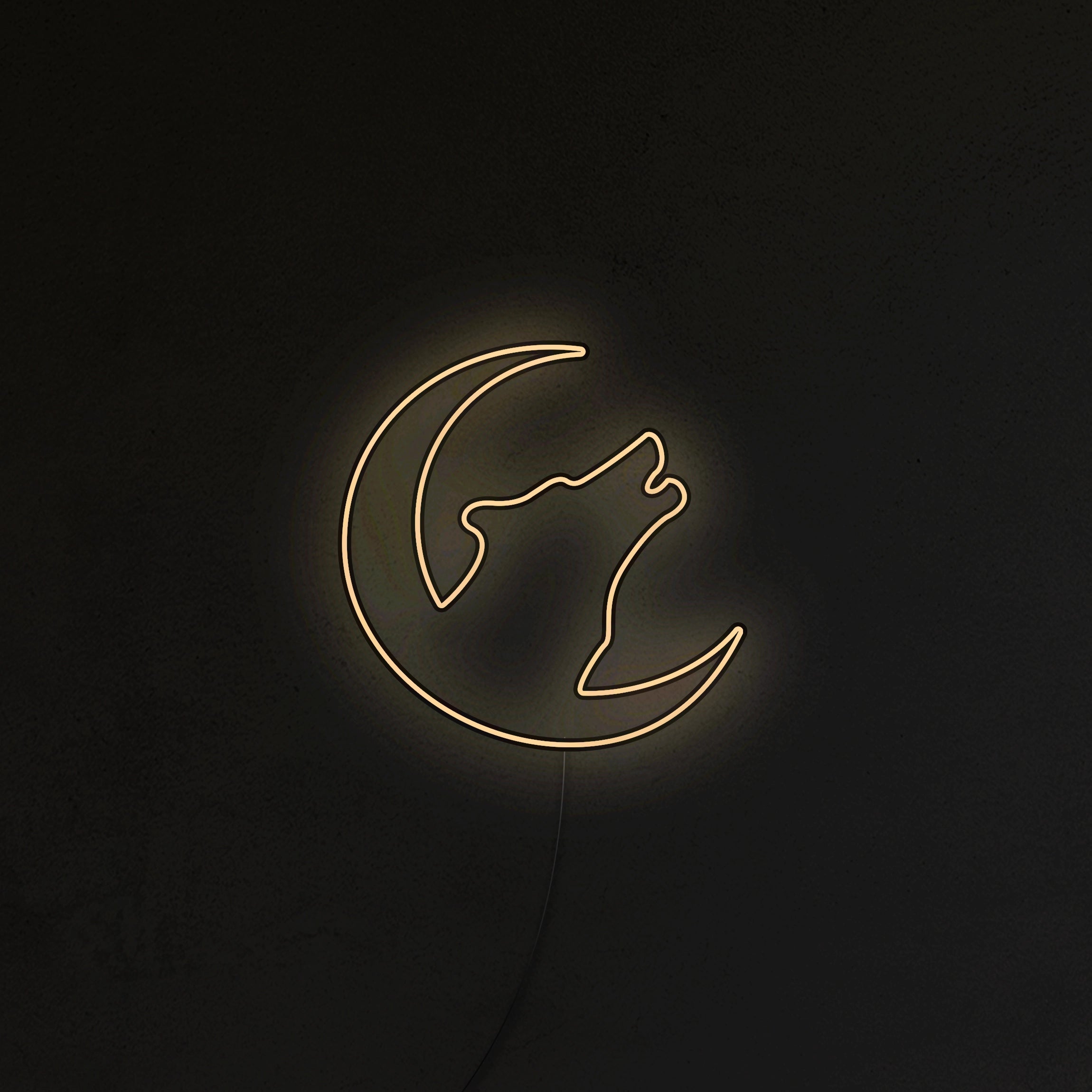 Wilk Neon LED