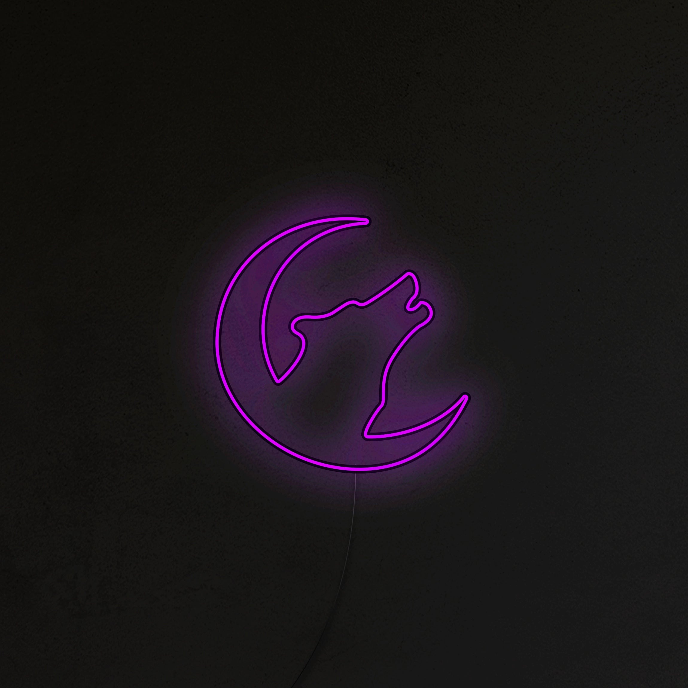 Wilk Neon LED