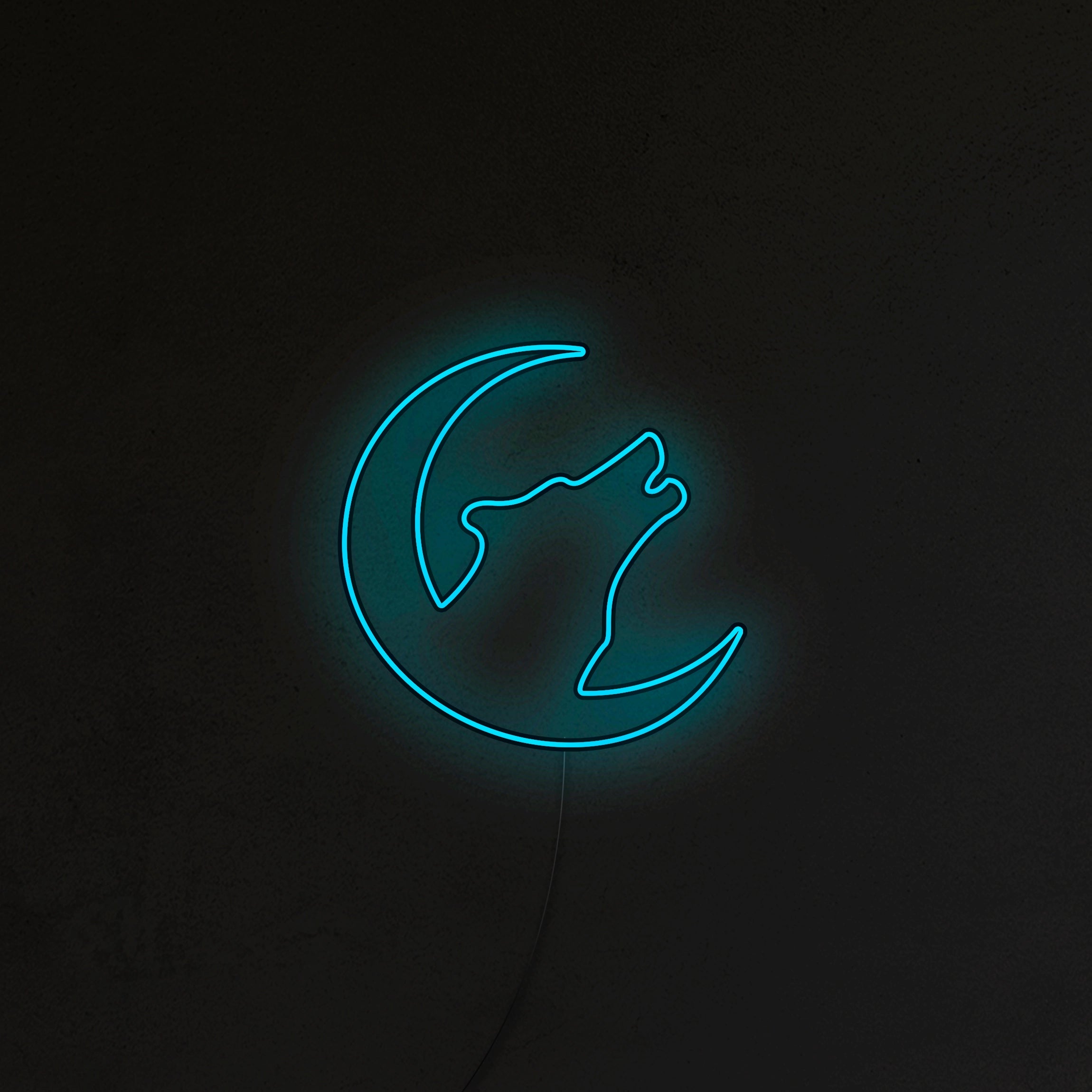 Wilk Neon LED