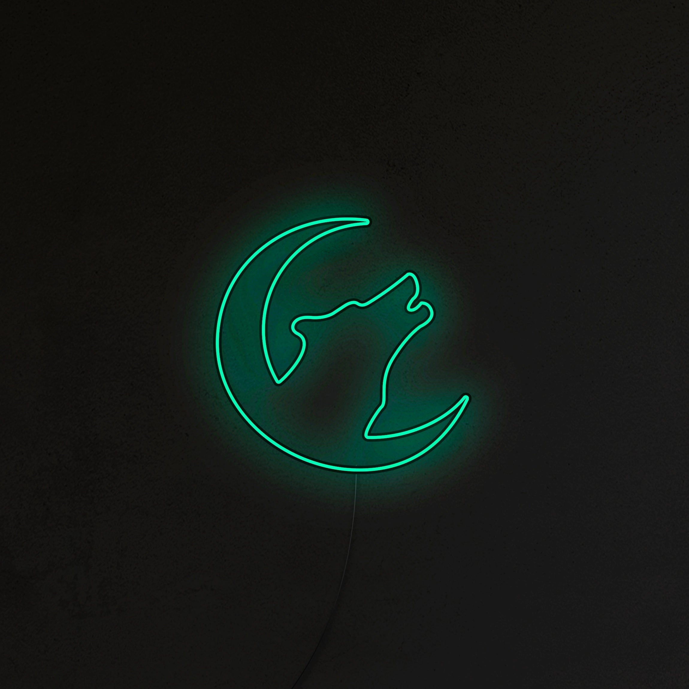 Wilk Neon LED