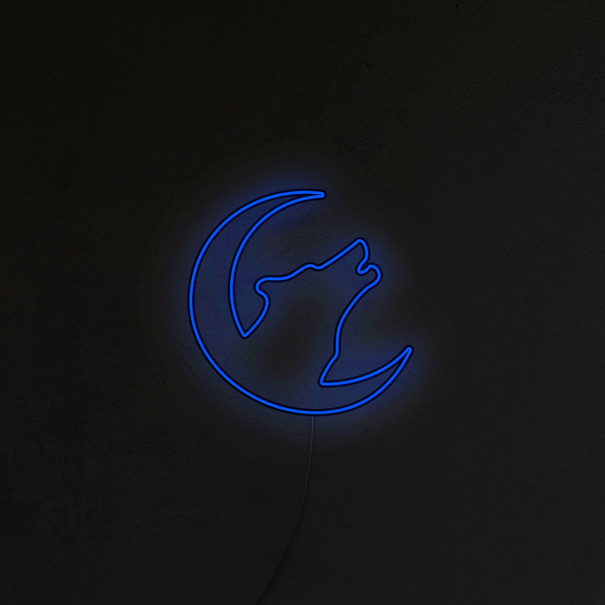 Wilk Neon LED