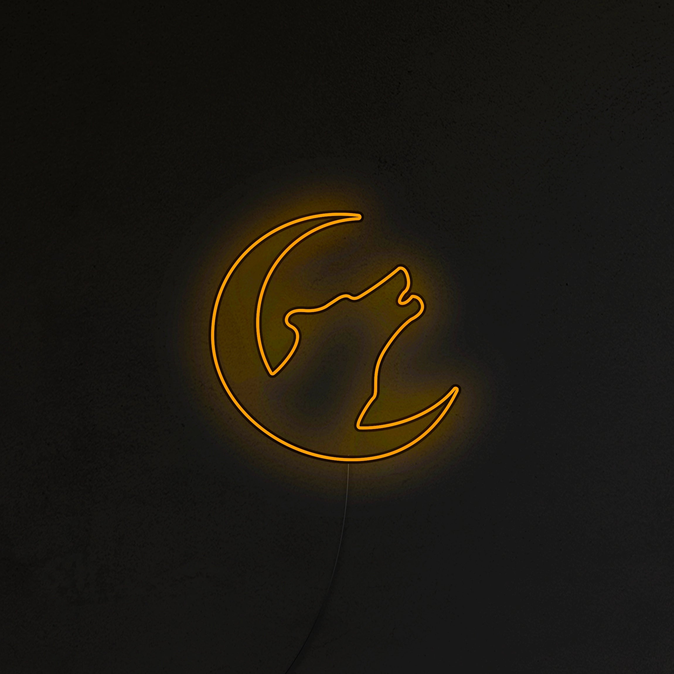 Wilk Neon LED