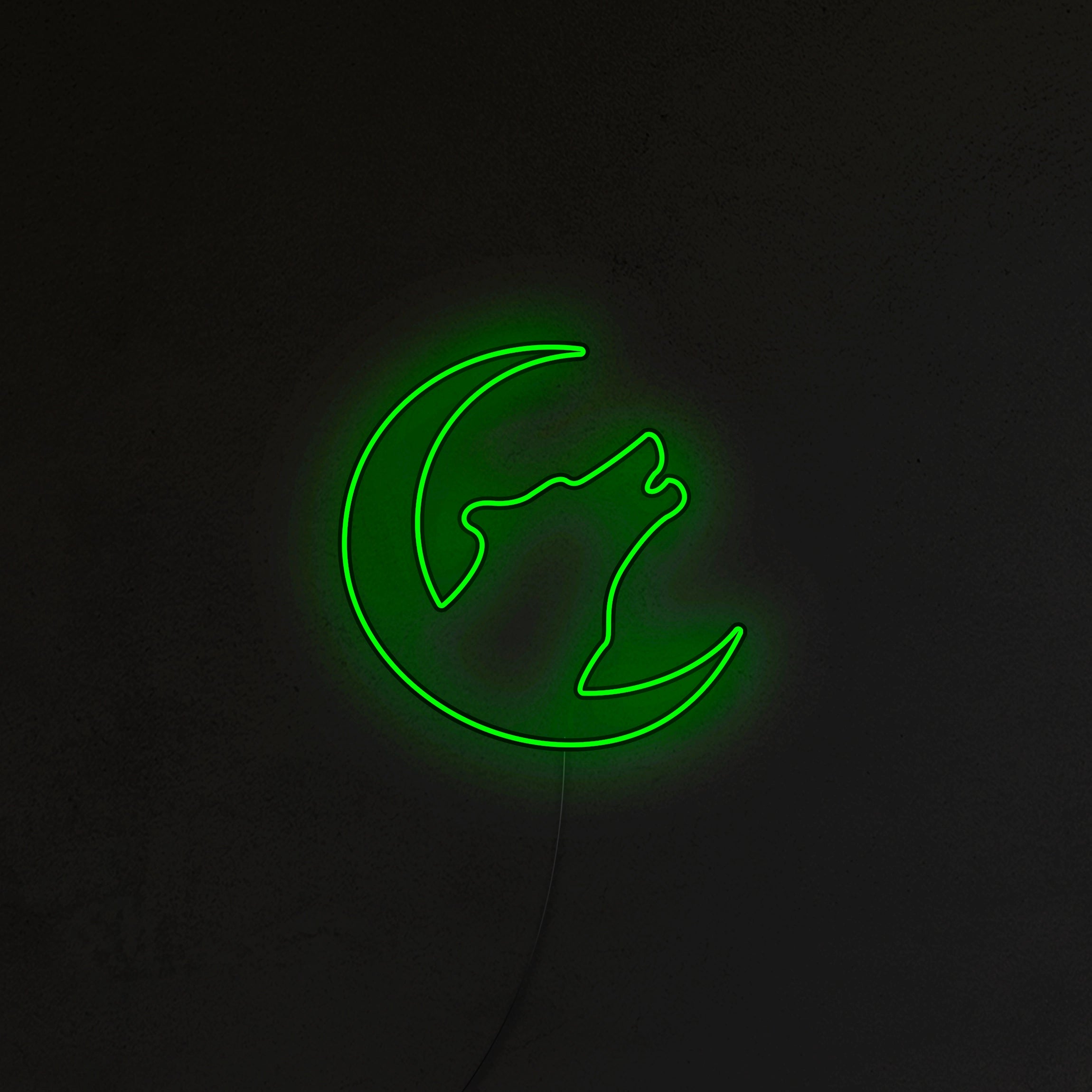 Wilk Neon LED