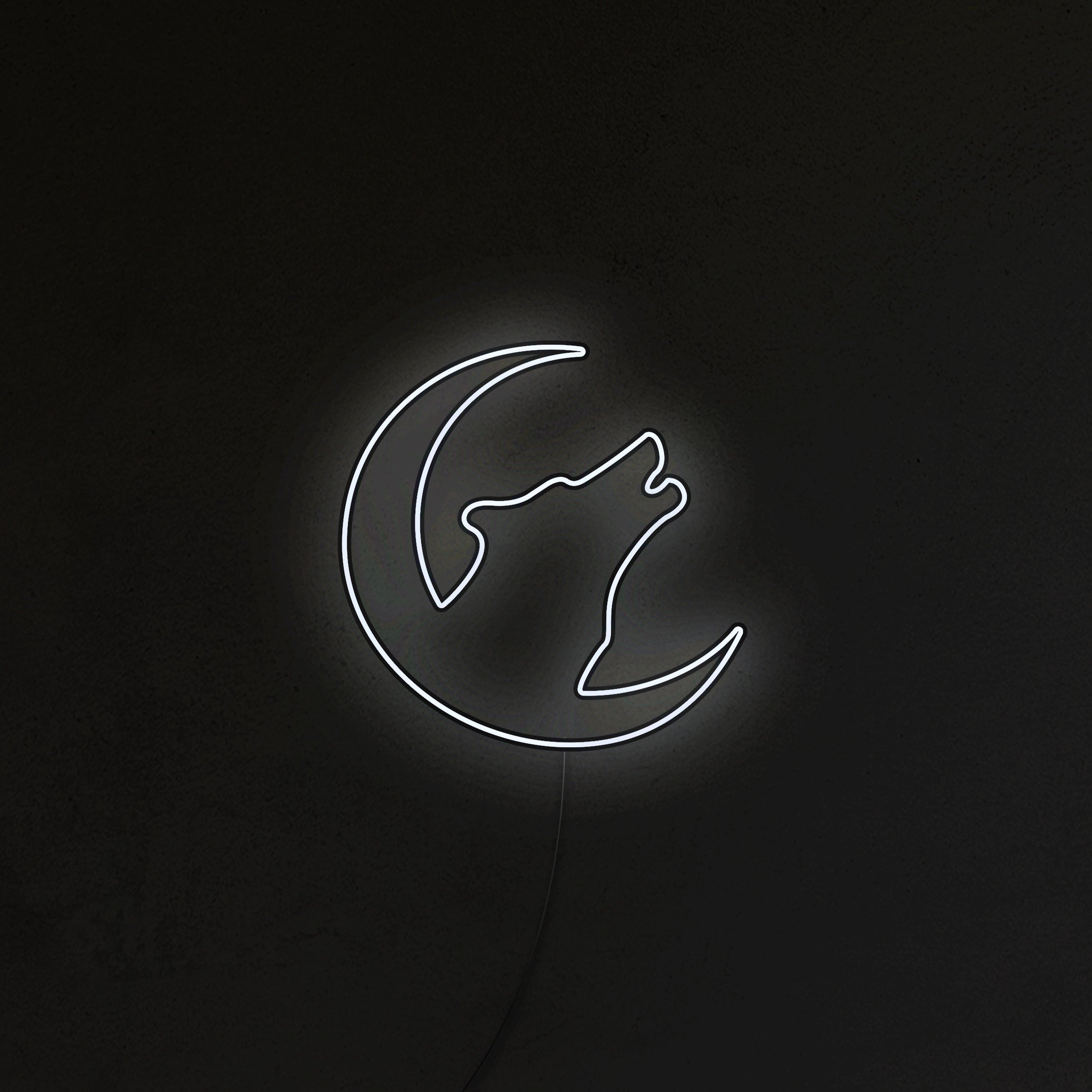 Wilk Neon LED