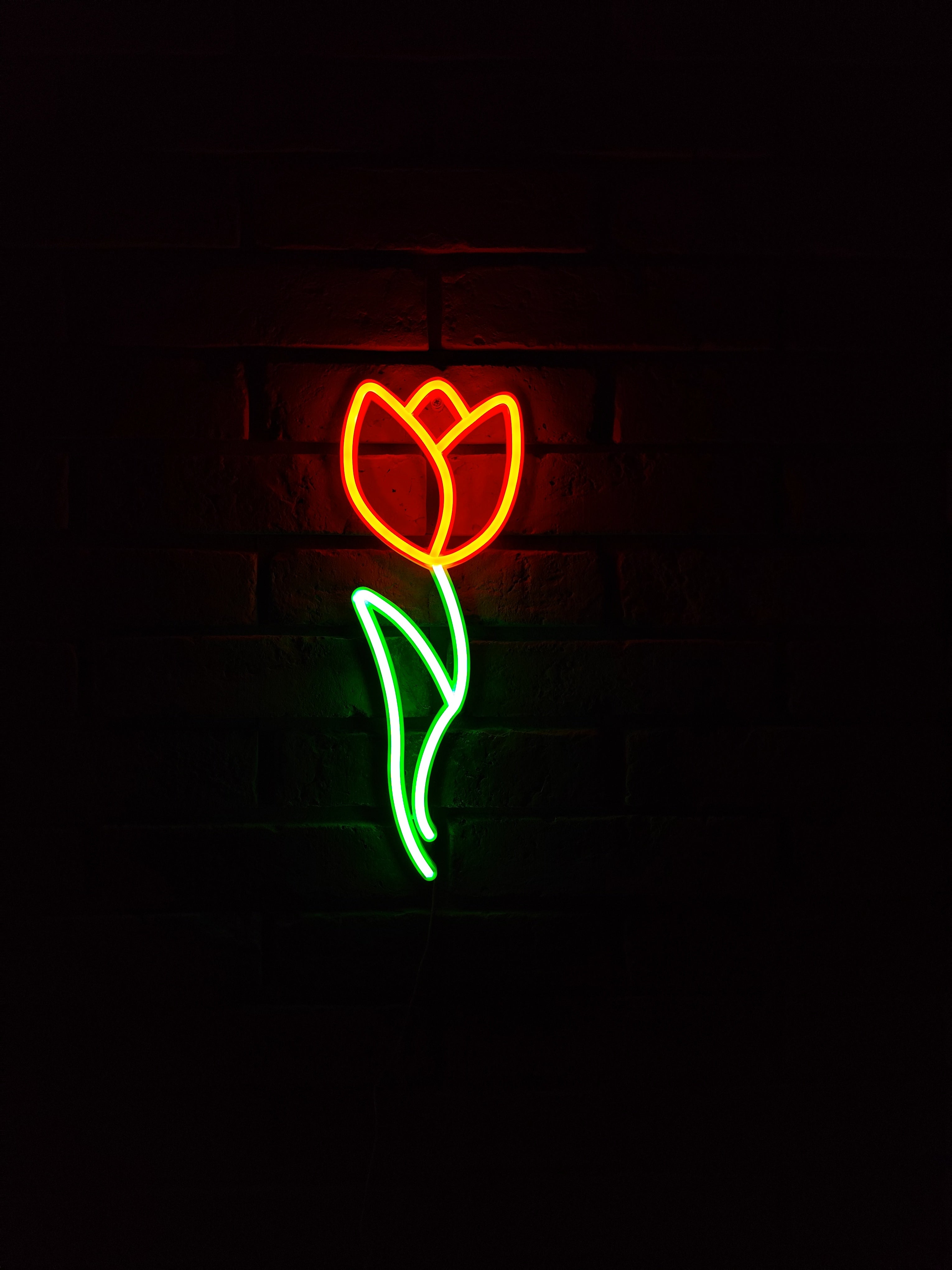 Tulipan Neon LED