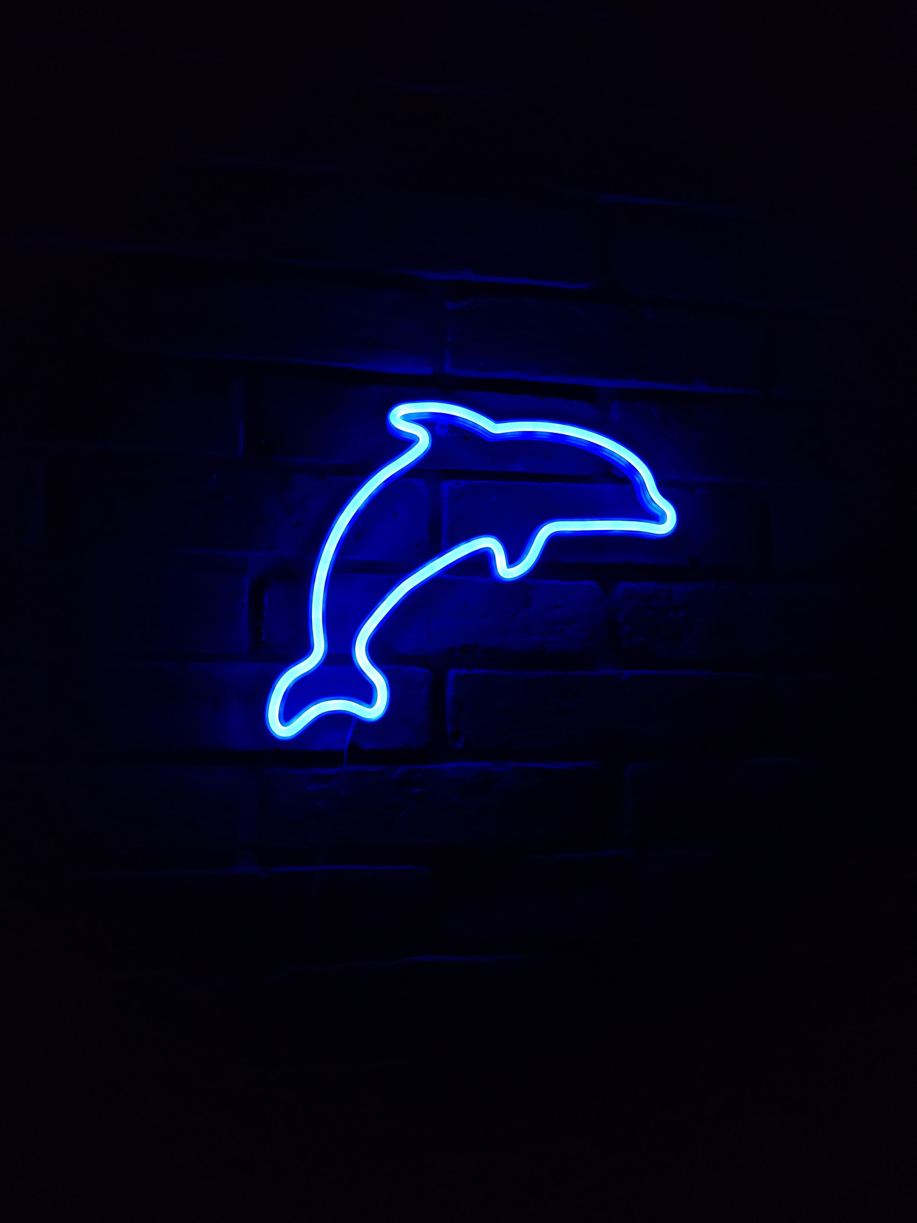 Delfin Neon LED