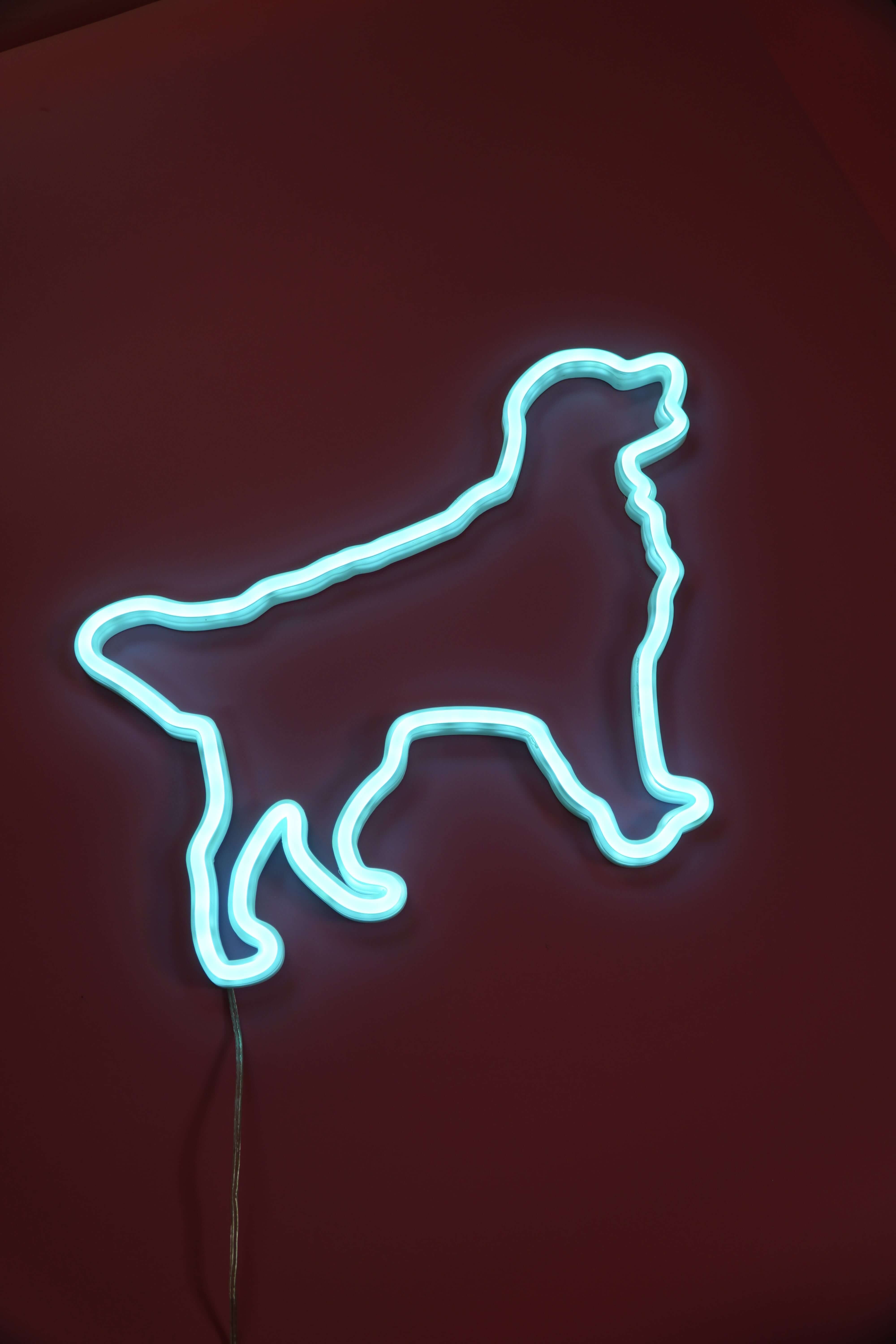 Golden Retriever Neon LED